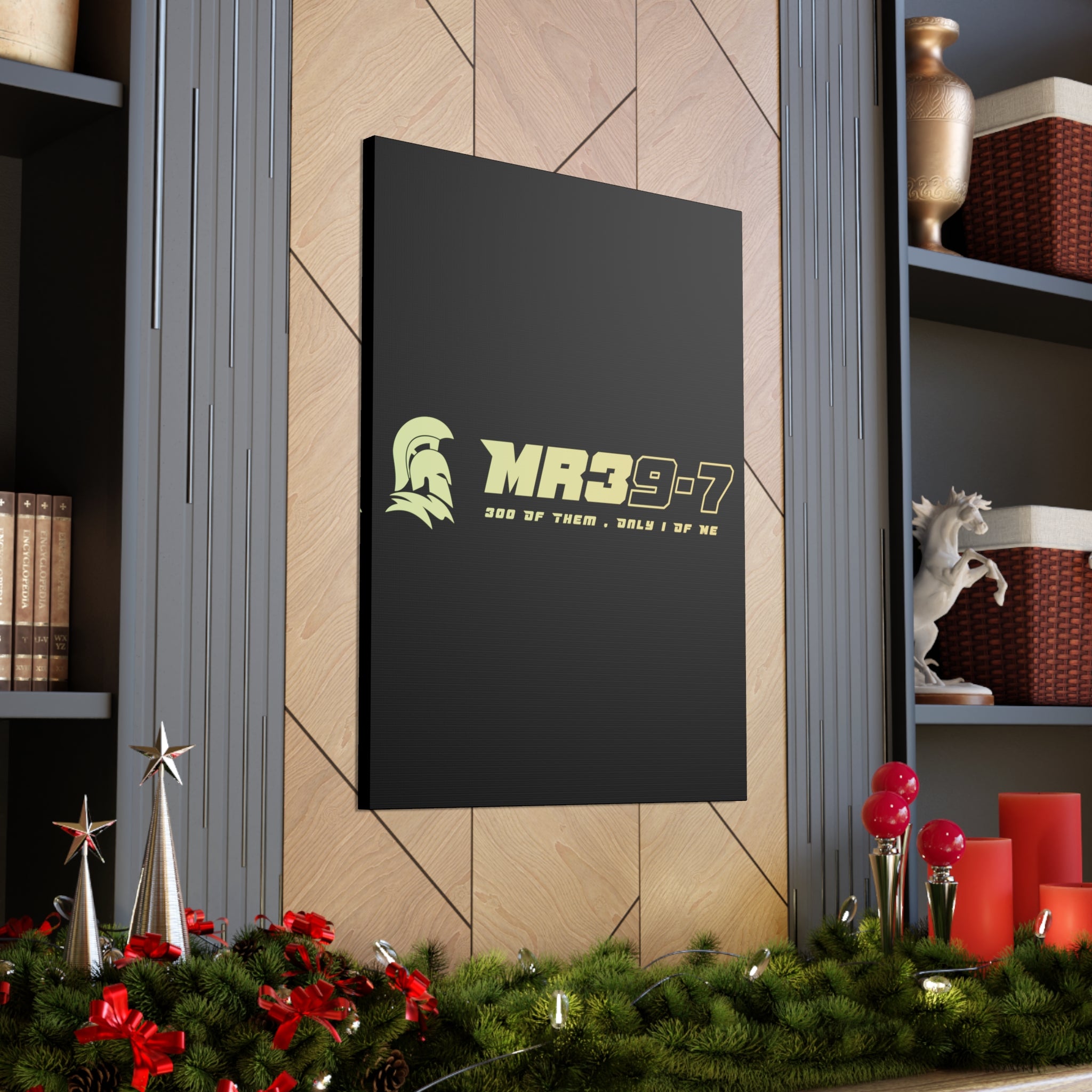 Canvas Gallery Wraps (A1•SPARTA RANGE)