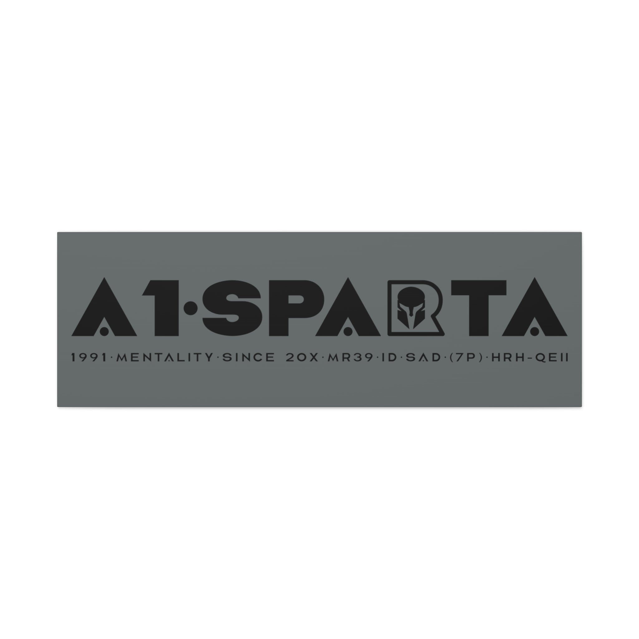 Canvas Gallery Wraps (A1•SPARTA RANGE)