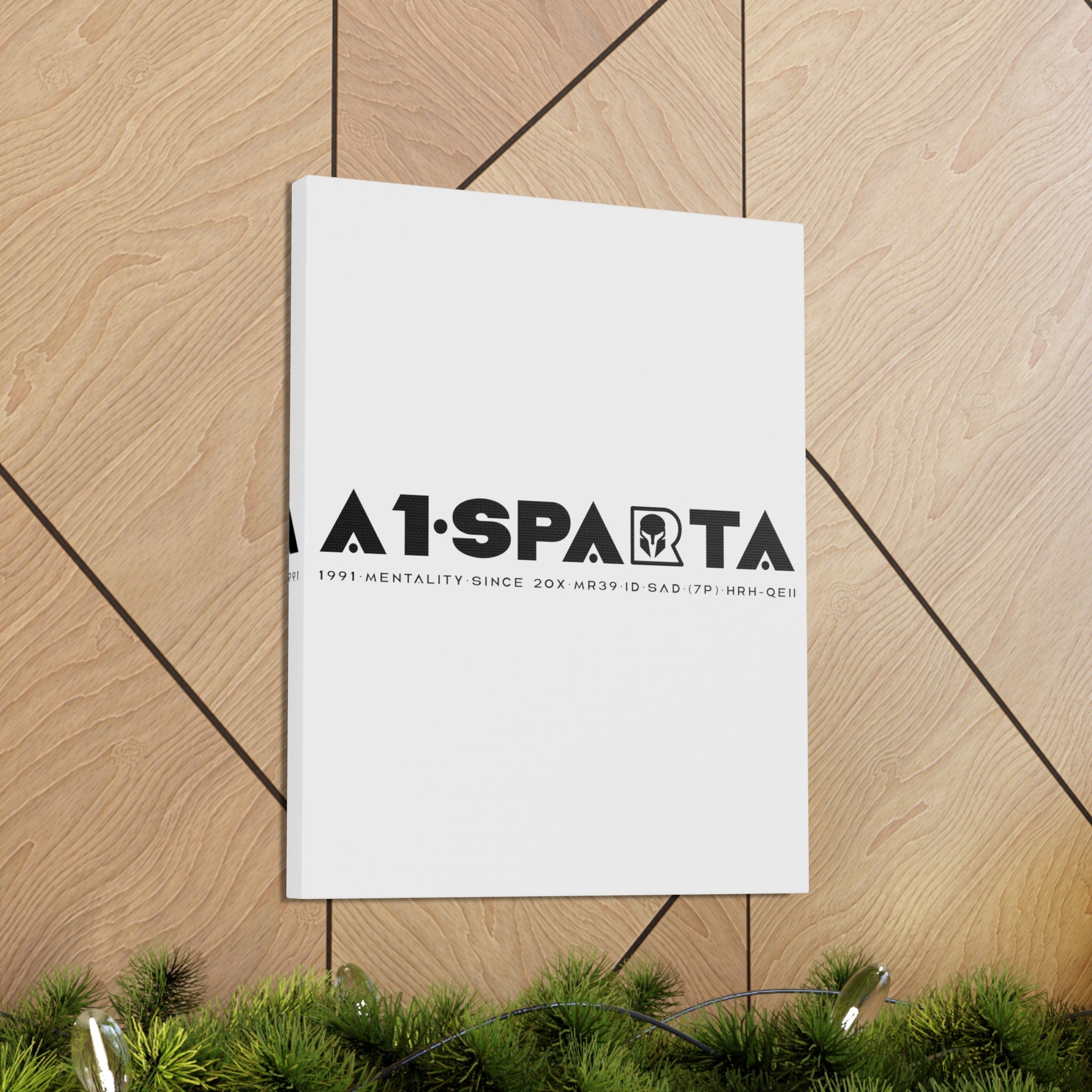 Canvas Gallery Wraps (A1•SPARTA RANGE)