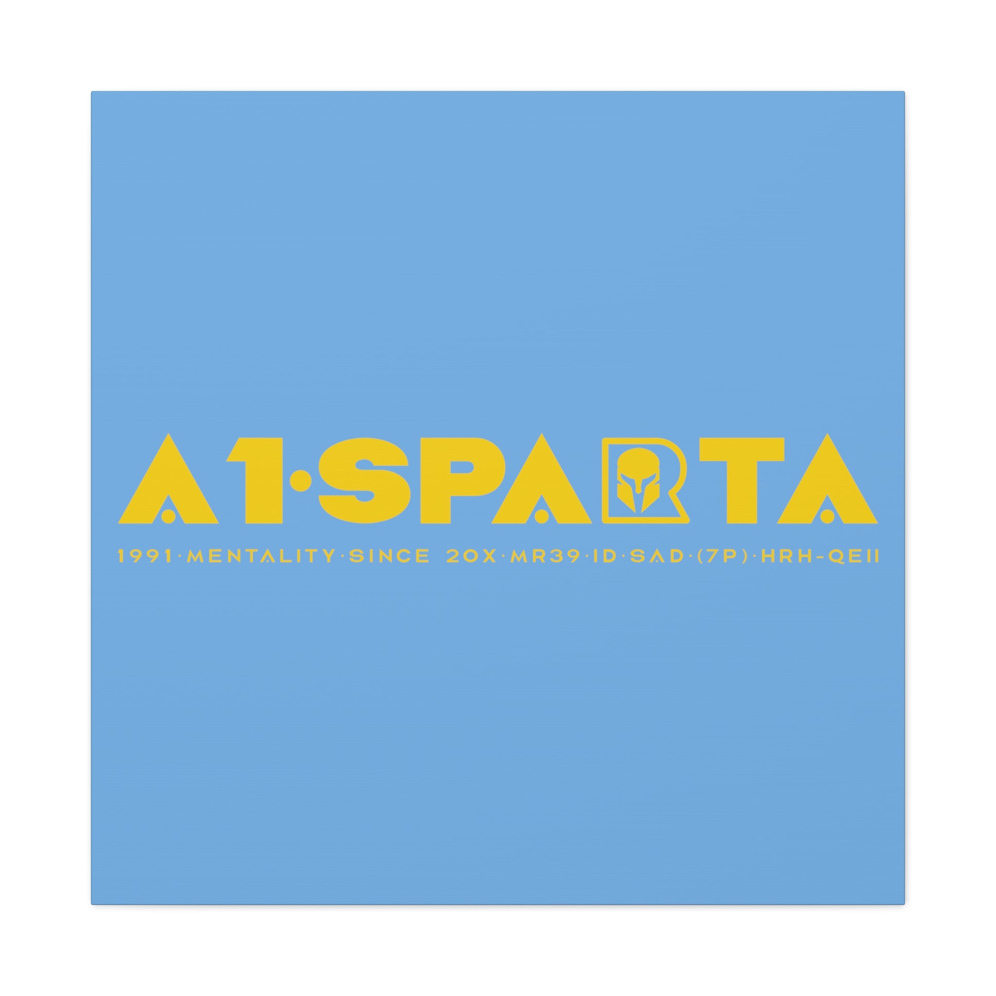 Canvas Gallery Wraps (A1•SPARTA RANGE)