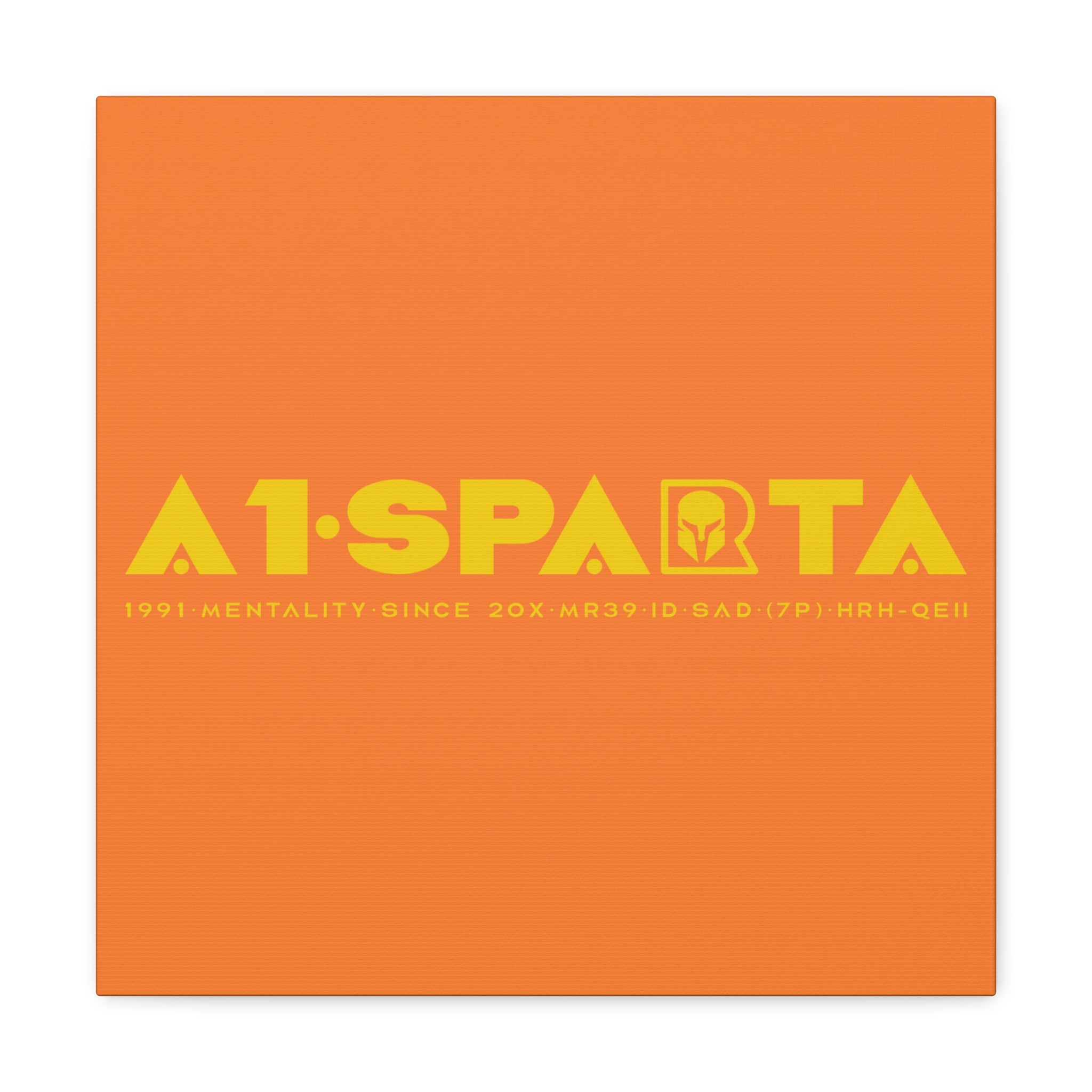 Canvas Gallery Wraps (A1•SPARTA RANGE)