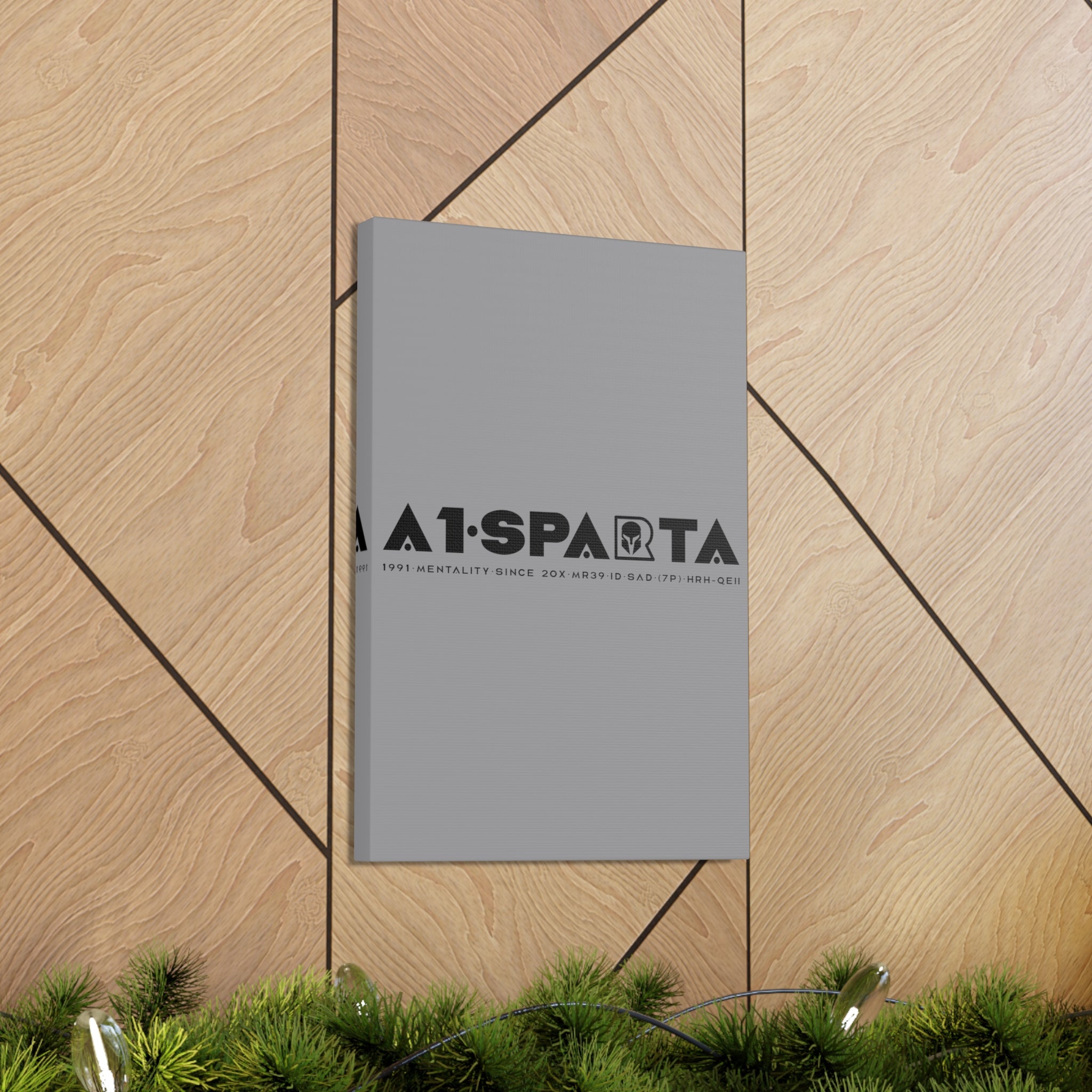 Canvas Gallery Wraps (A1•SPARTA RANGE)