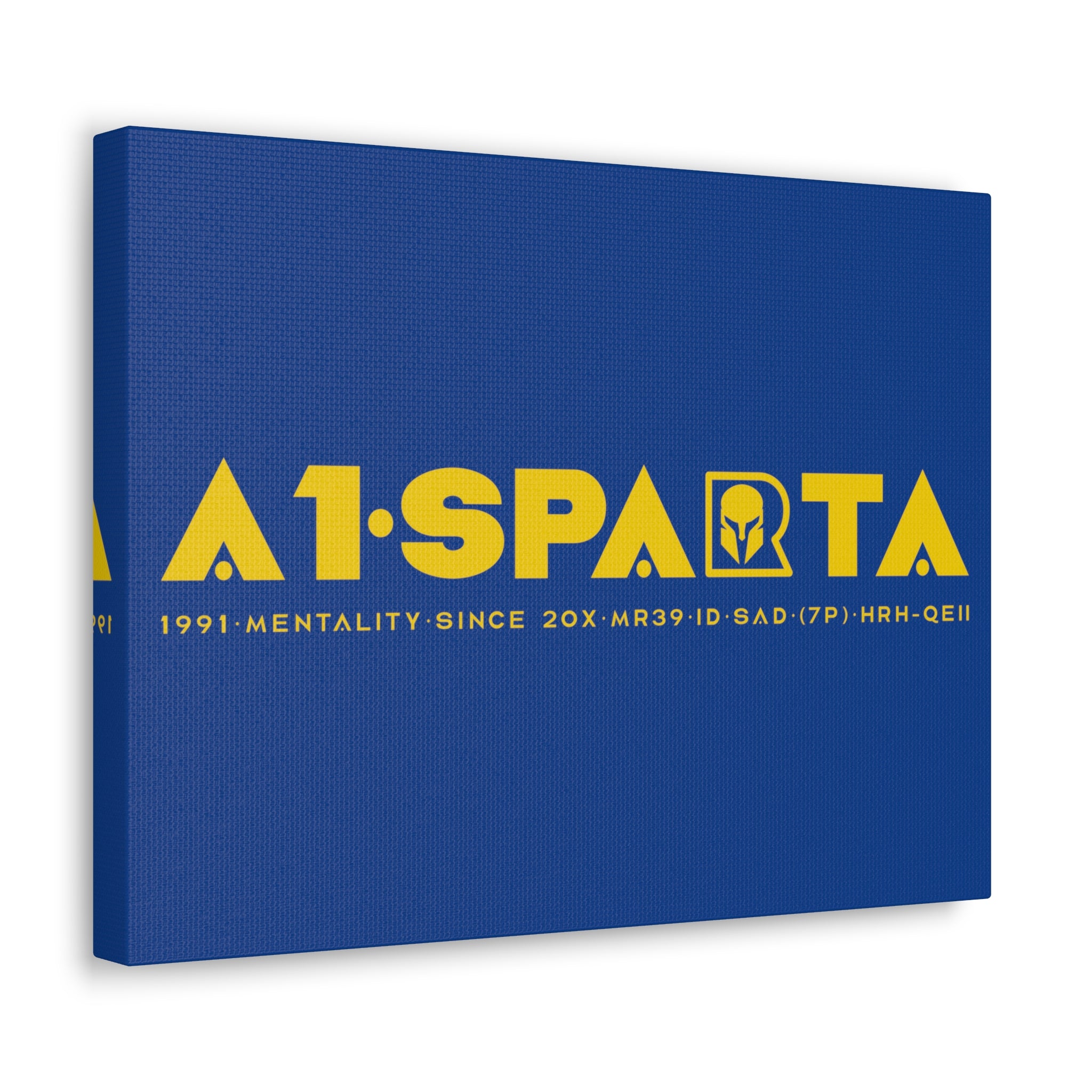 Canvas Gallery Wraps (A1•SPARTA RANGE)