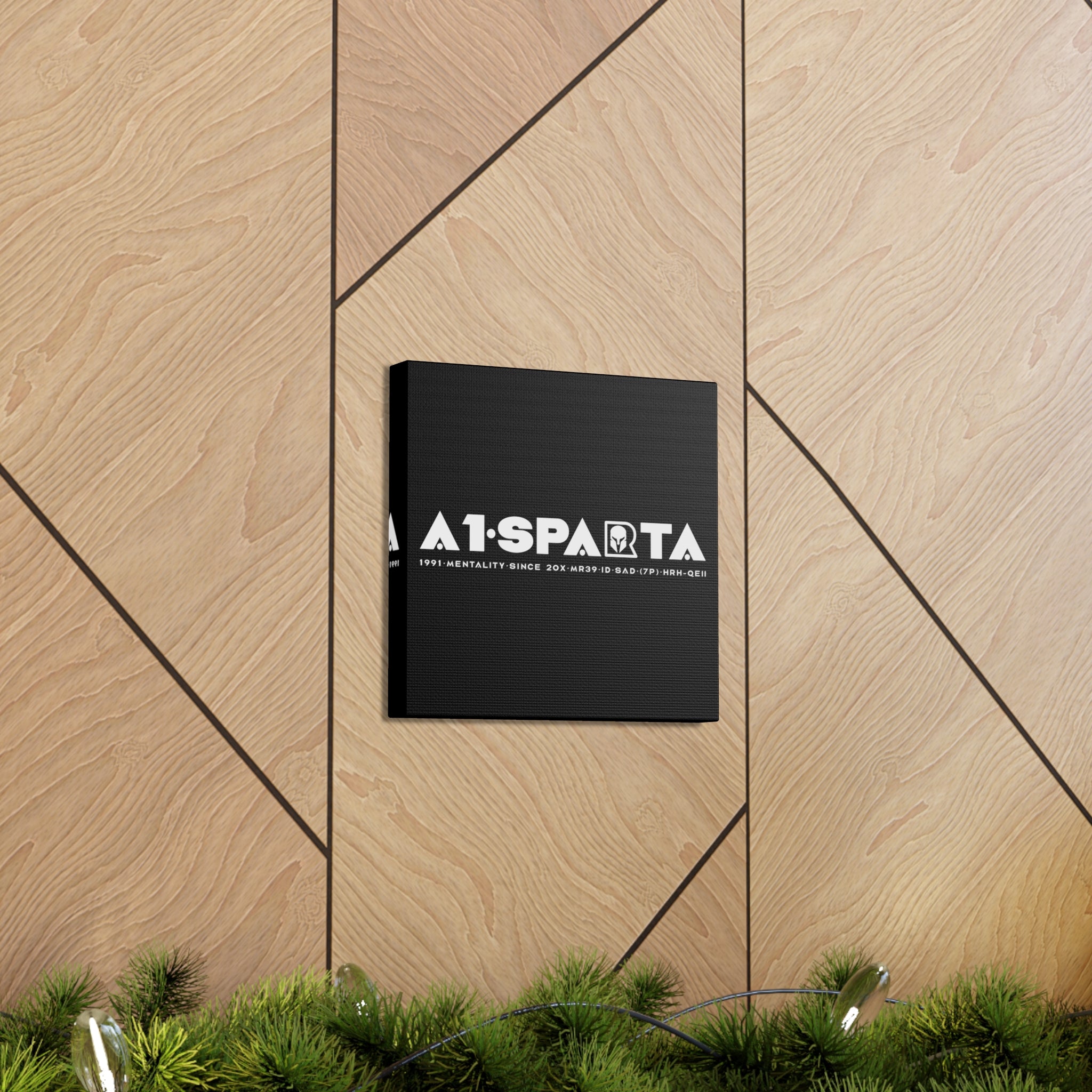 Canvas Gallery Wraps (A1•SPARTA RANGE)