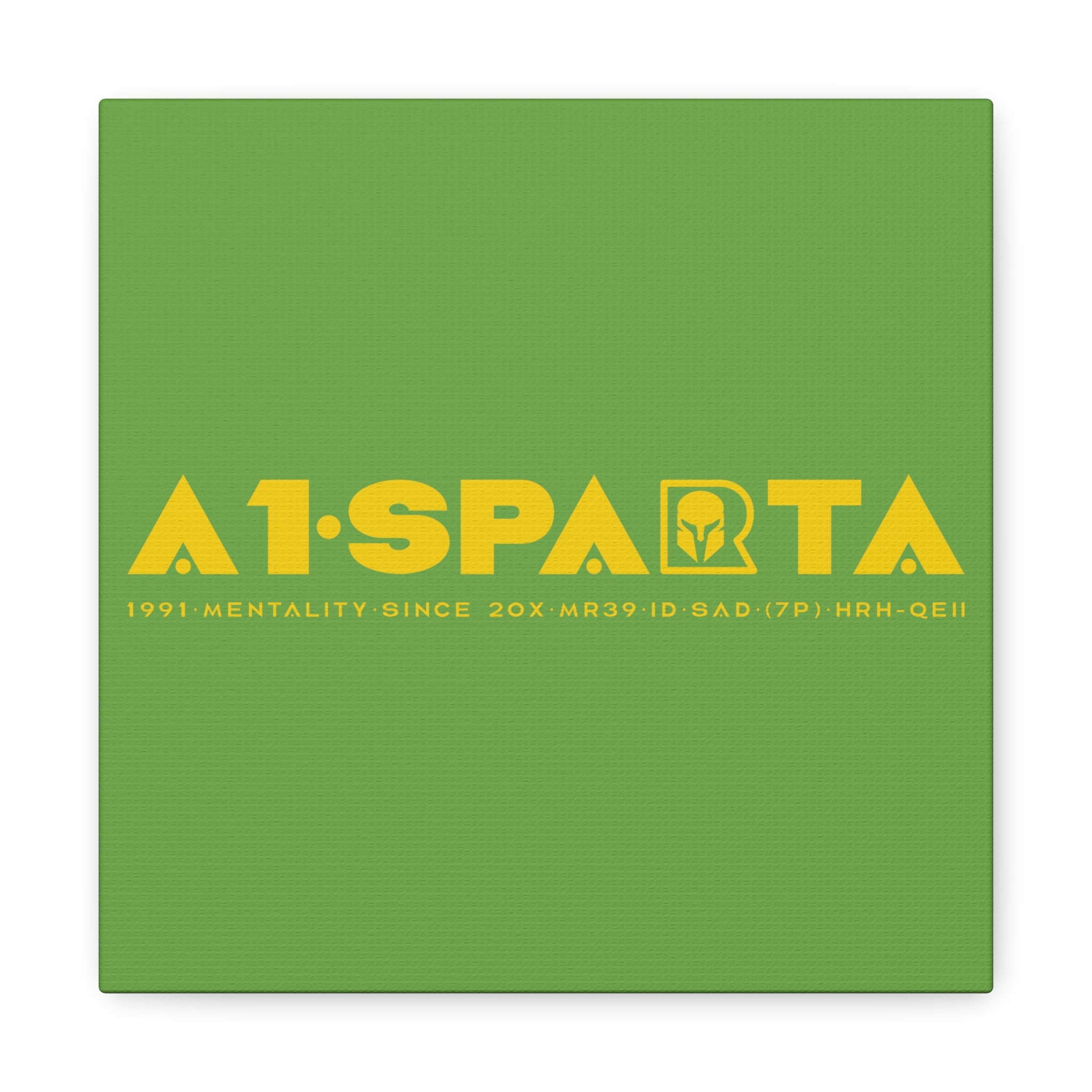 Canvas Gallery Wraps (A1•SPARTA RANGE)