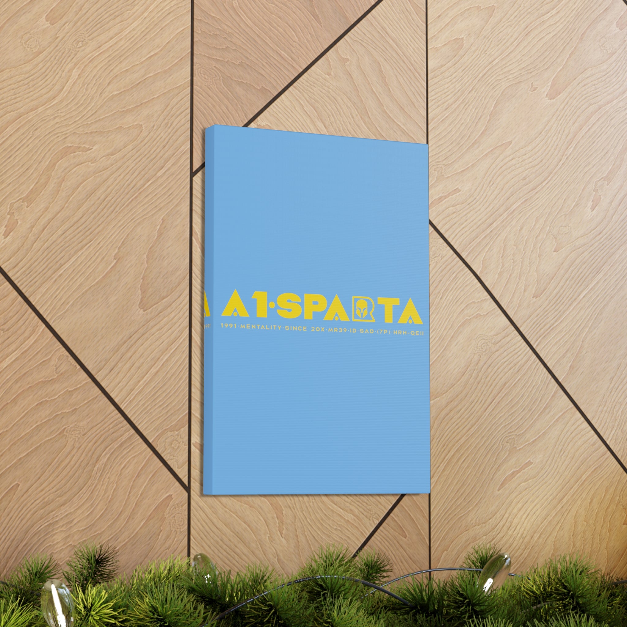 Canvas Gallery Wraps (A1•SPARTA RANGE)