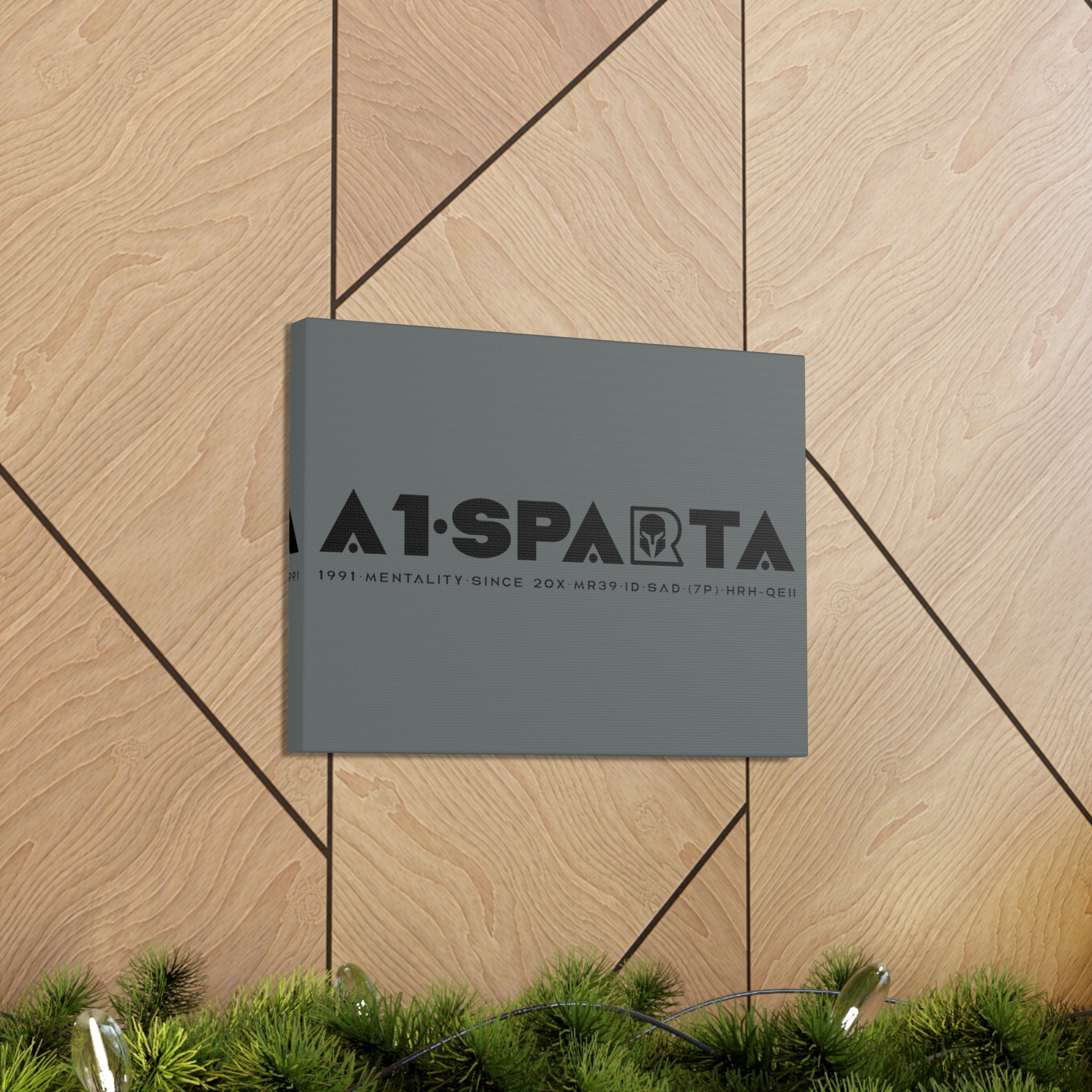 Canvas Gallery Wraps (A1•SPARTA RANGE)