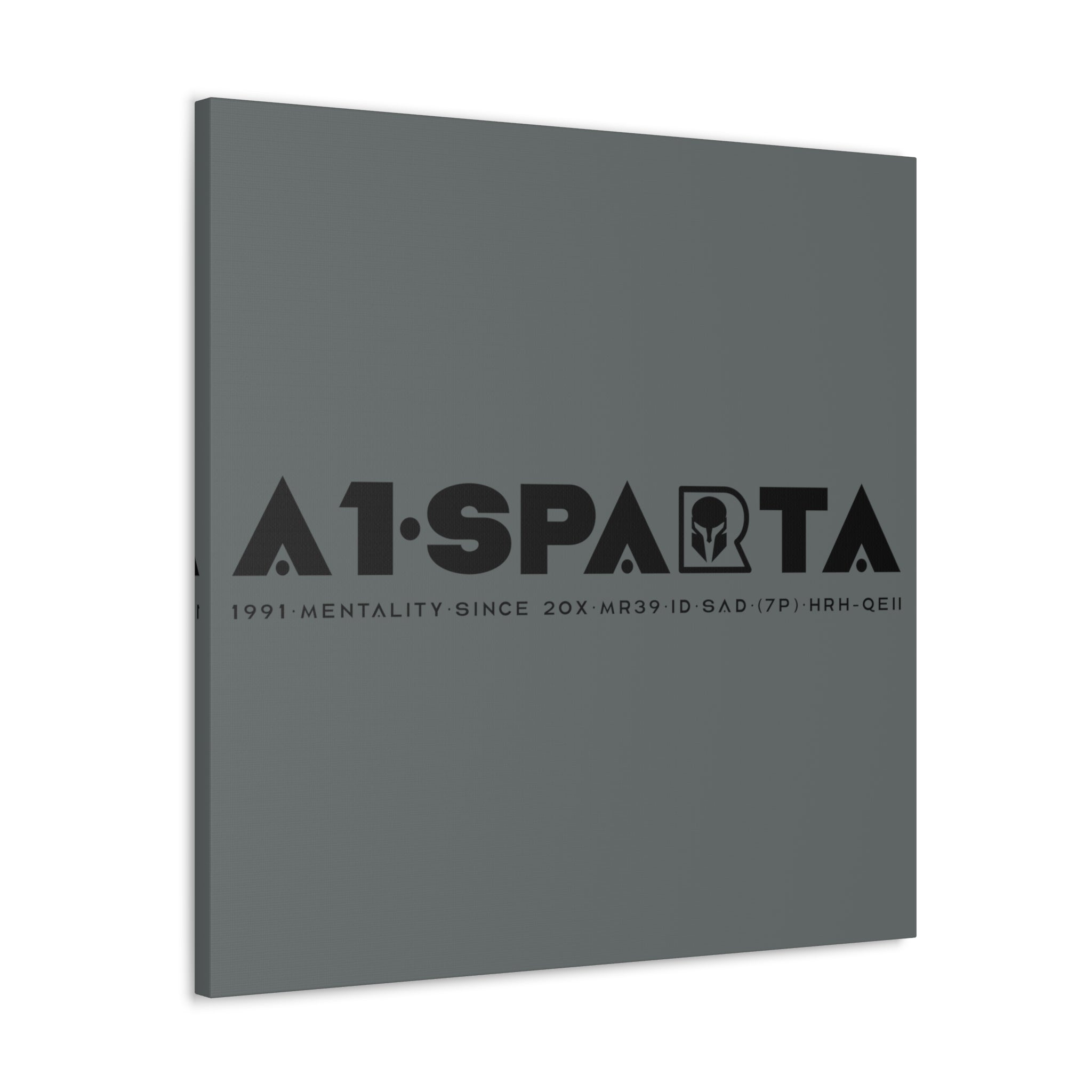 Canvas Gallery Wraps (A1•SPARTA RANGE)