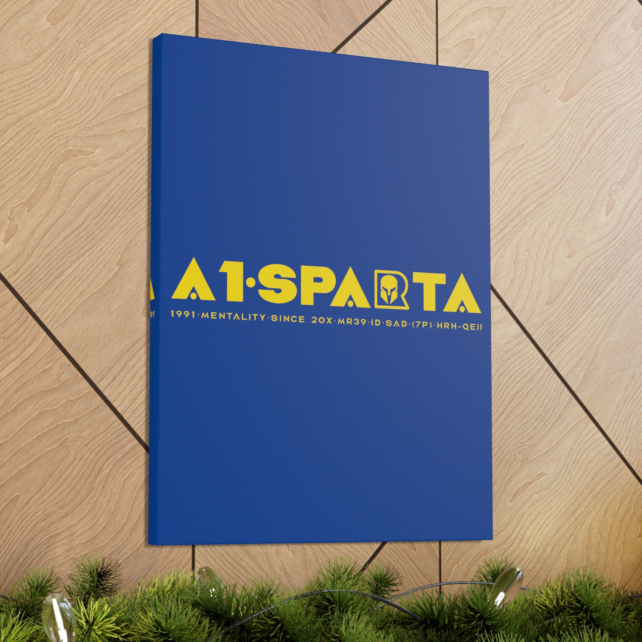 Canvas Gallery Wraps (A1•SPARTA RANGE)