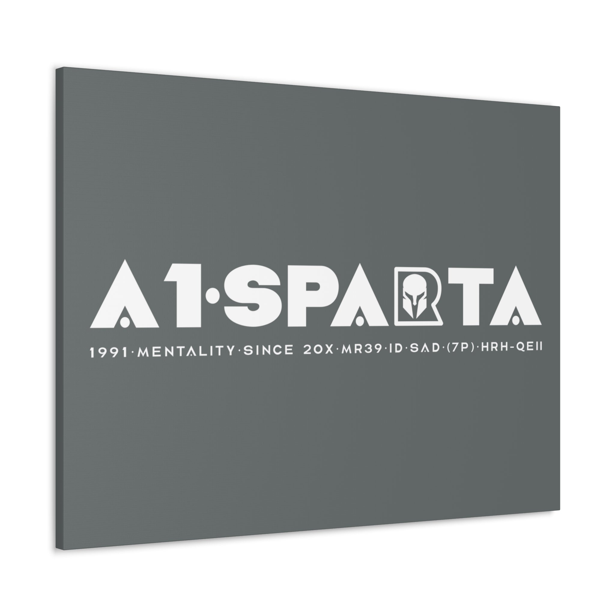 Canvas Gallery Wraps (A1•SPARTA RANGE)