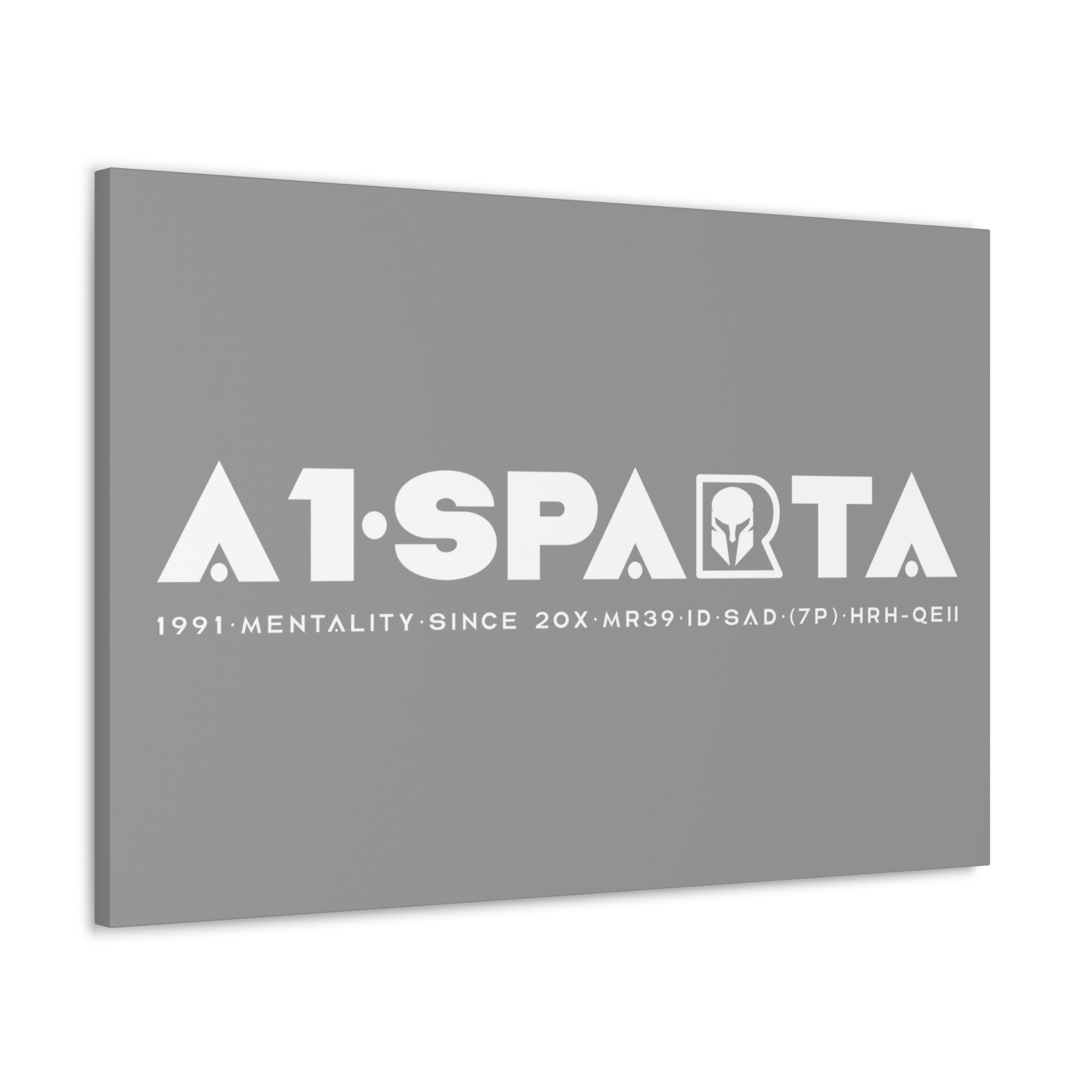 Canvas Gallery Wraps (A1•SPARTA RANGE)
