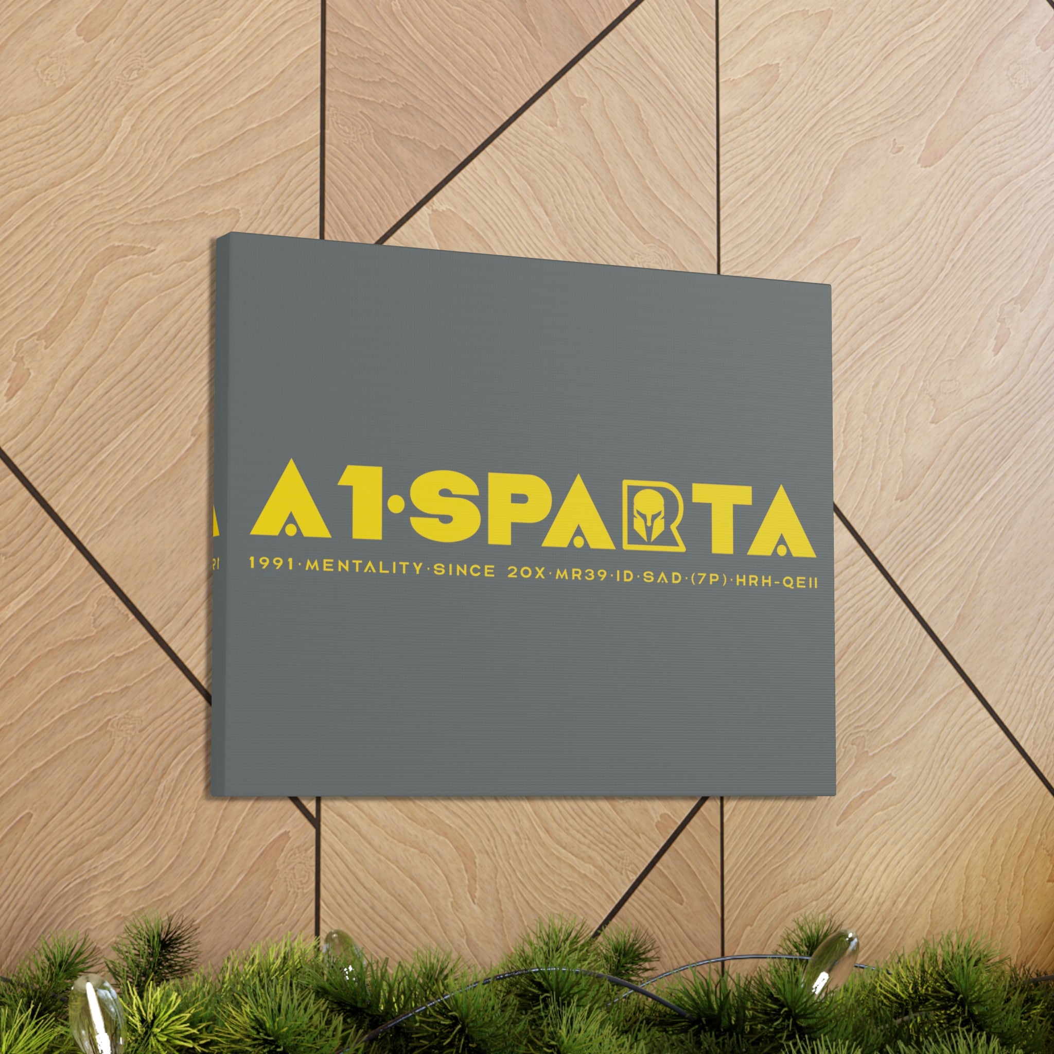 Canvas Gallery Wraps (A1•SPARTA RANGE)