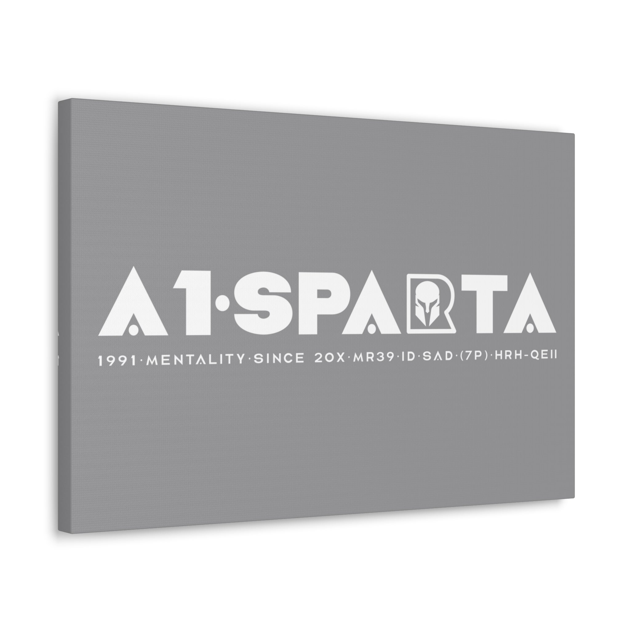 Canvas Gallery Wraps (A1•SPARTA RANGE)