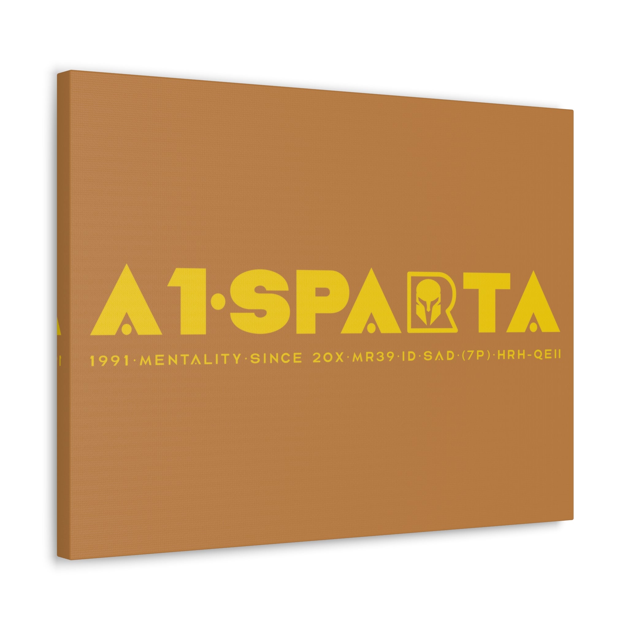 Canvas Gallery Wraps (A1•SPARTA RANGE)