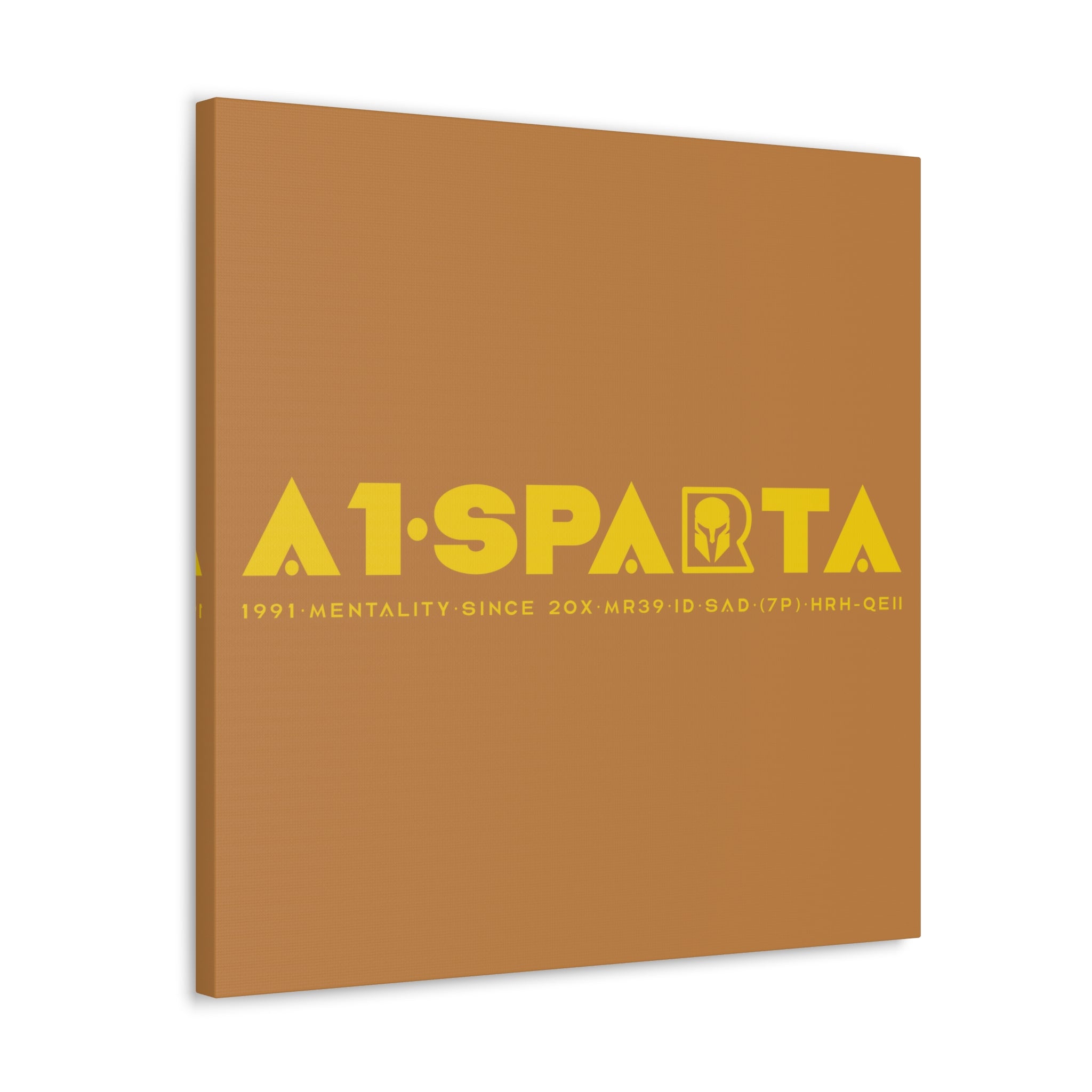 Canvas Gallery Wraps (A1•SPARTA RANGE)