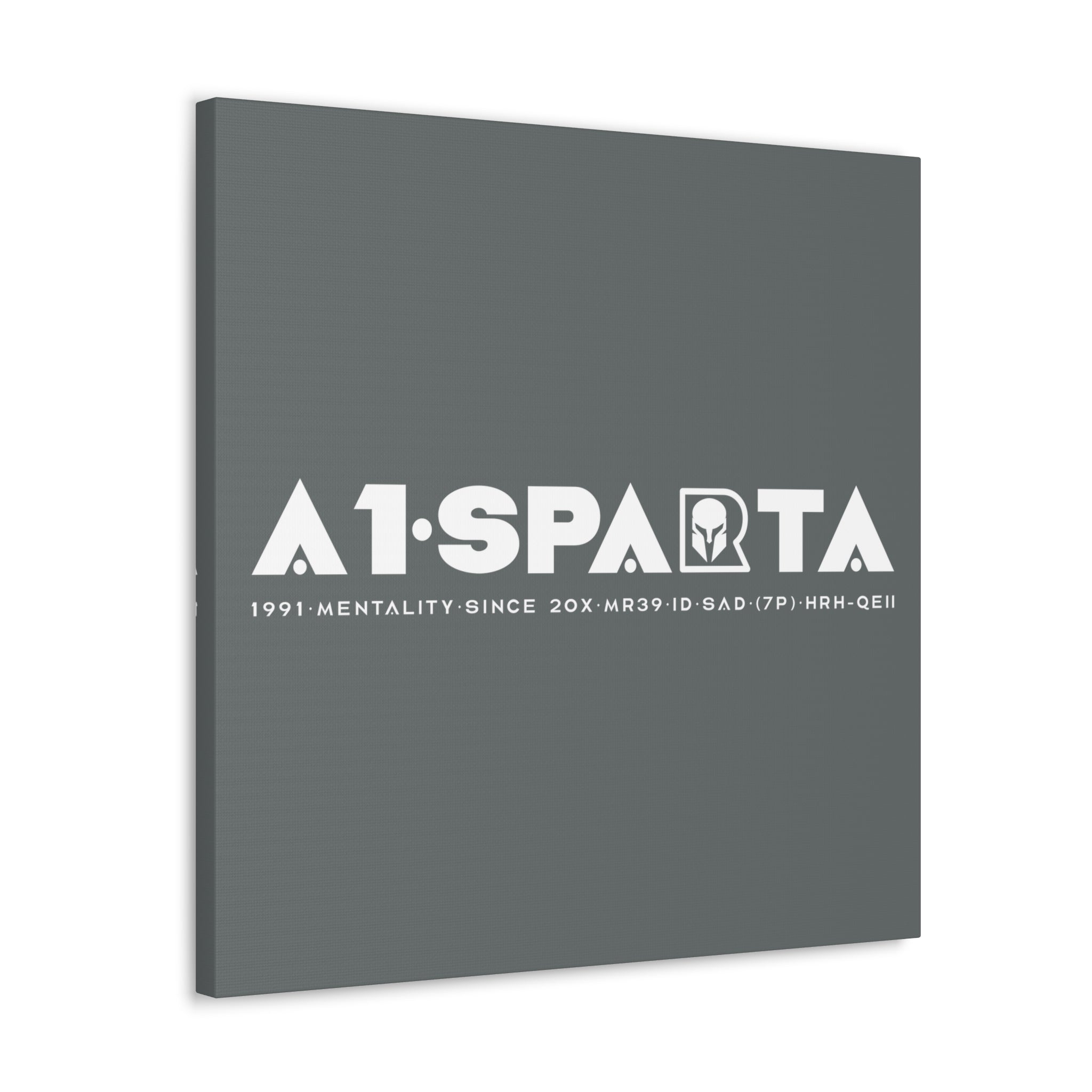 Canvas Gallery Wraps (A1•SPARTA RANGE)