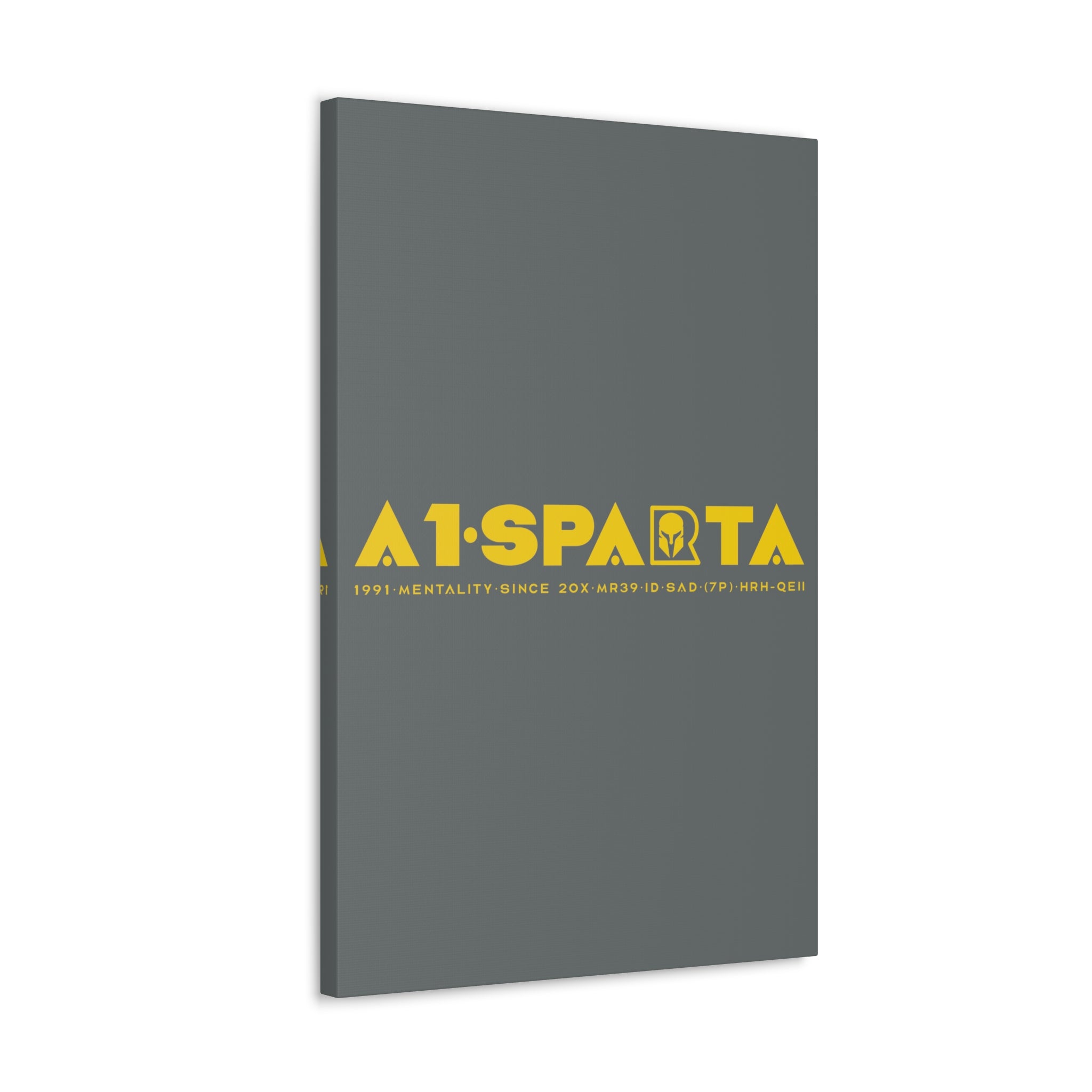 Canvas Gallery Wraps (A1•SPARTA RANGE)