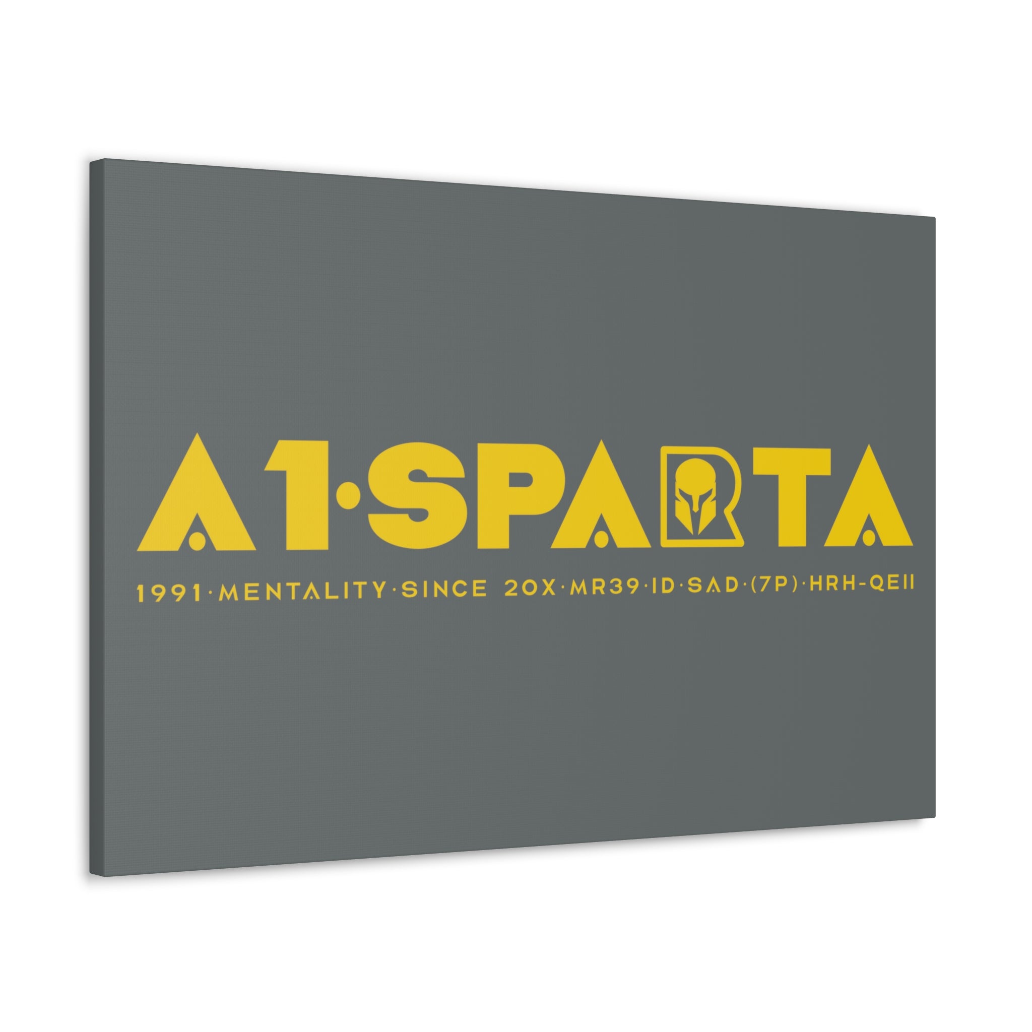 Canvas Gallery Wraps (A1•SPARTA RANGE)