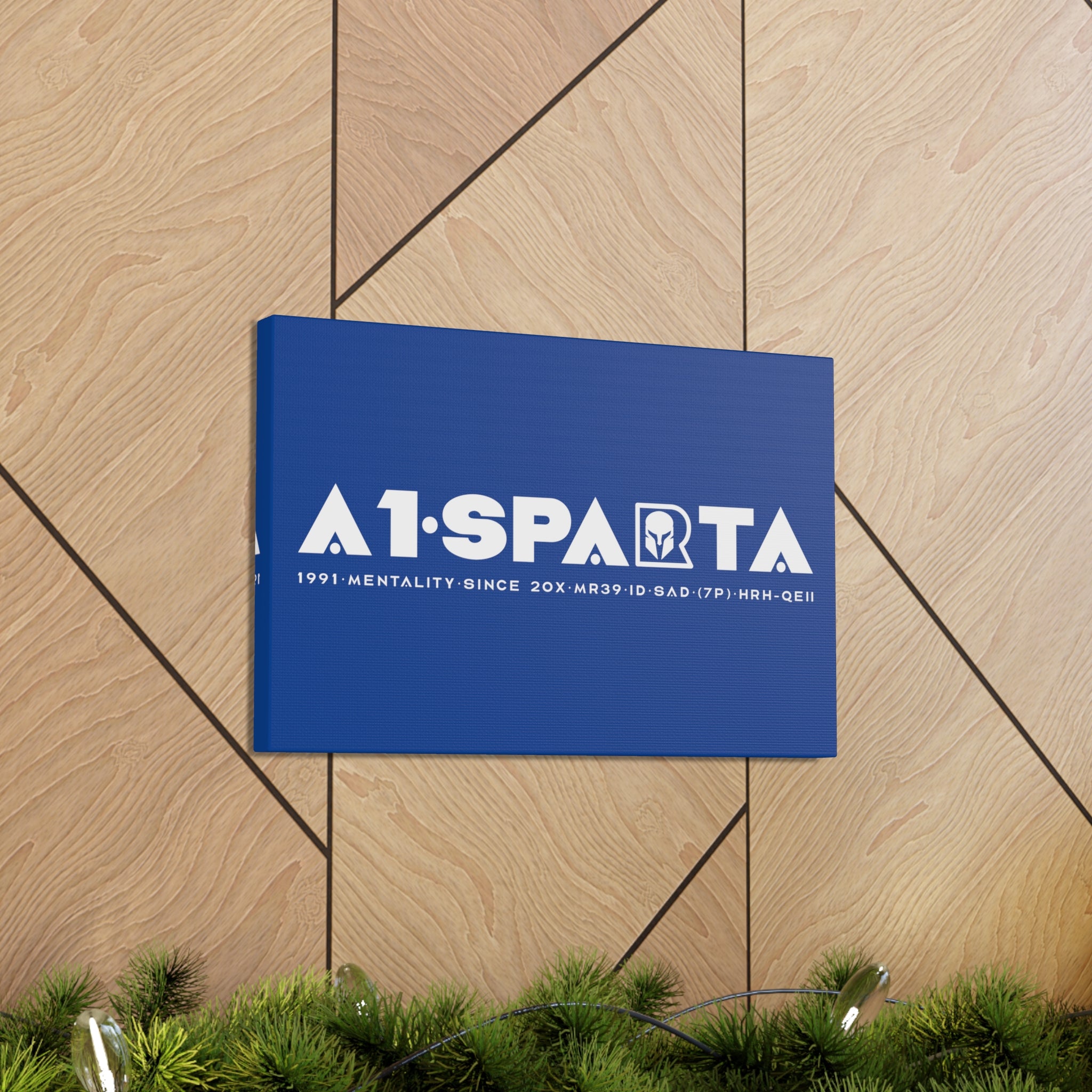 Canvas Gallery Wraps (A1•SPARTA RANGE)