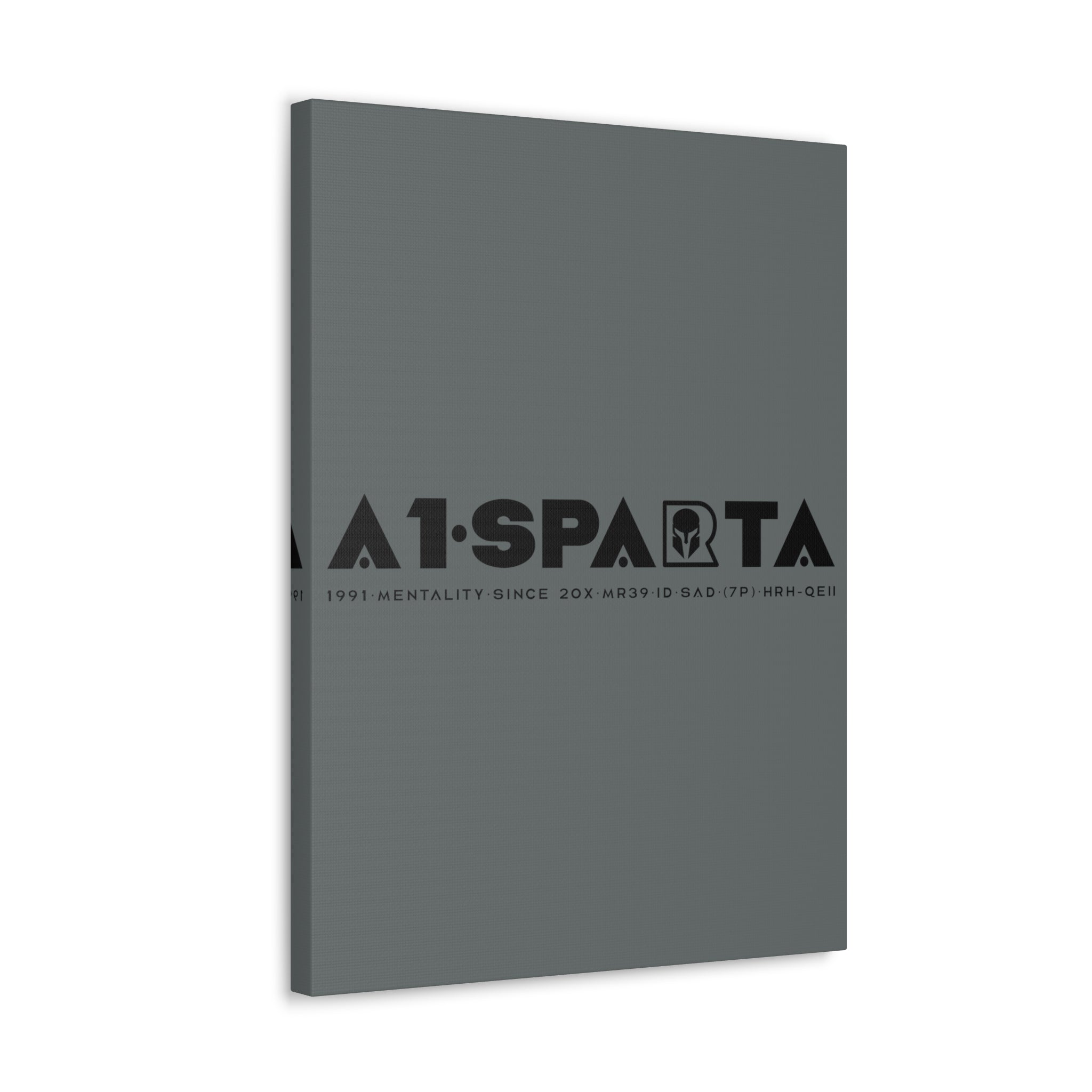 Canvas Gallery Wraps (A1•SPARTA RANGE)