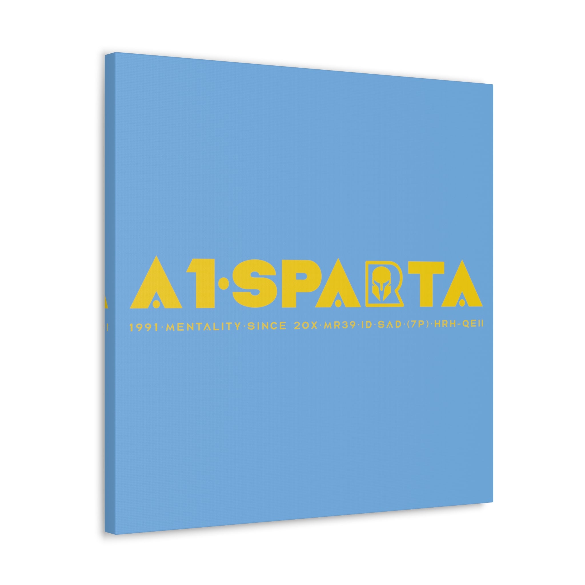 Canvas Gallery Wraps (A1•SPARTA RANGE)