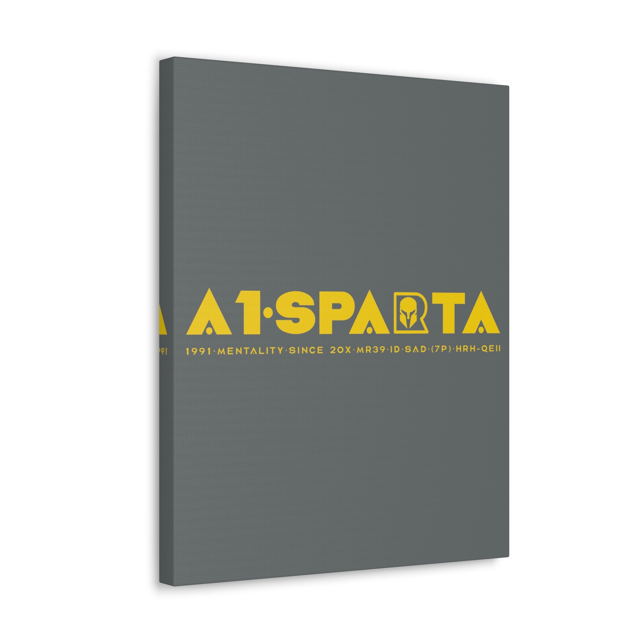 Canvas Gallery Wraps (A1•SPARTA RANGE)