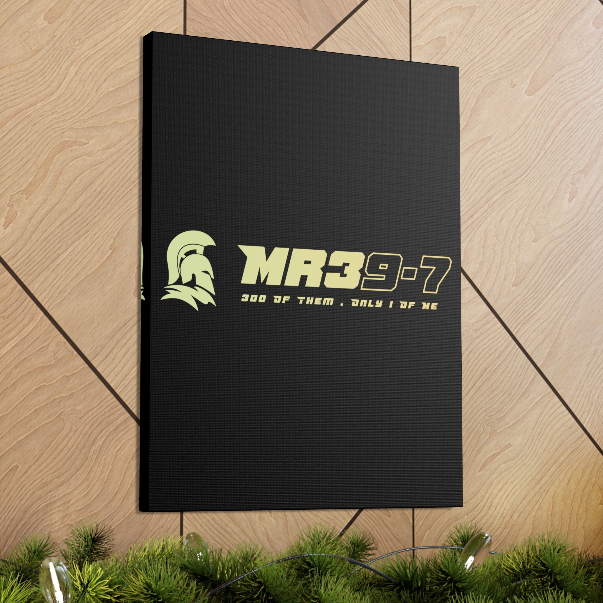 Canvas Gallery Wraps (A1•SPARTA RANGE)