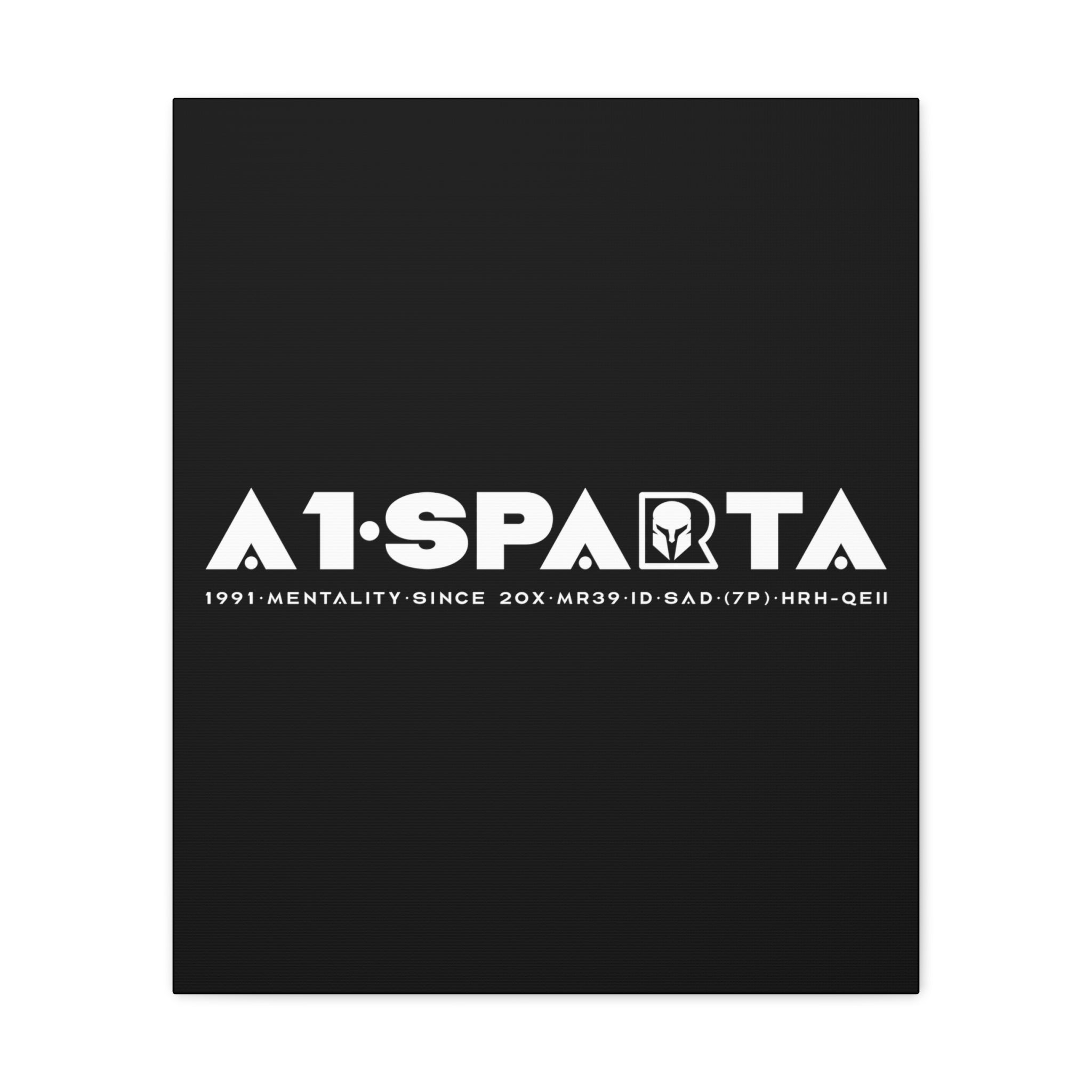 Canvas Gallery Wraps (A1•SPARTA RANGE)