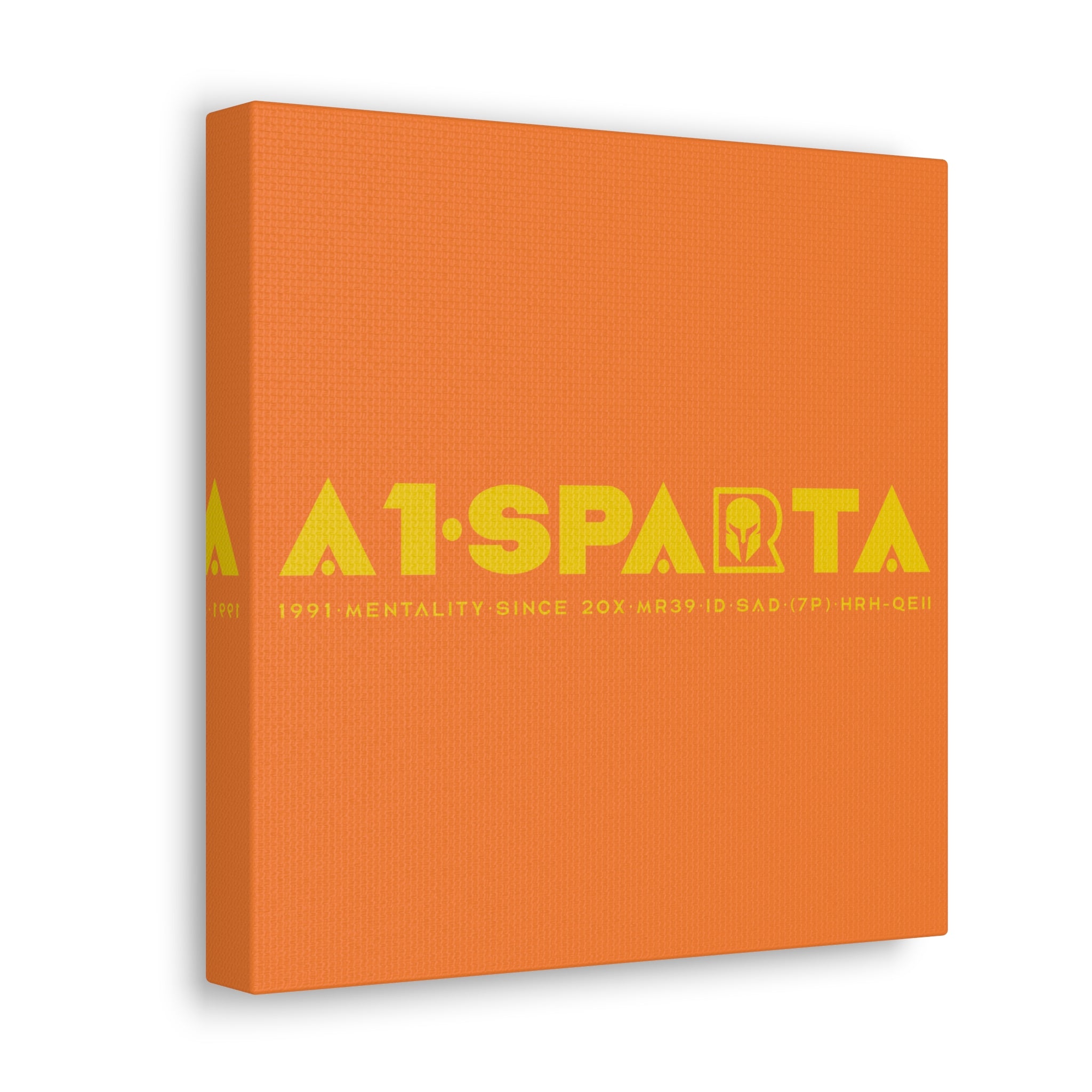 Canvas Gallery Wraps (A1•SPARTA RANGE)