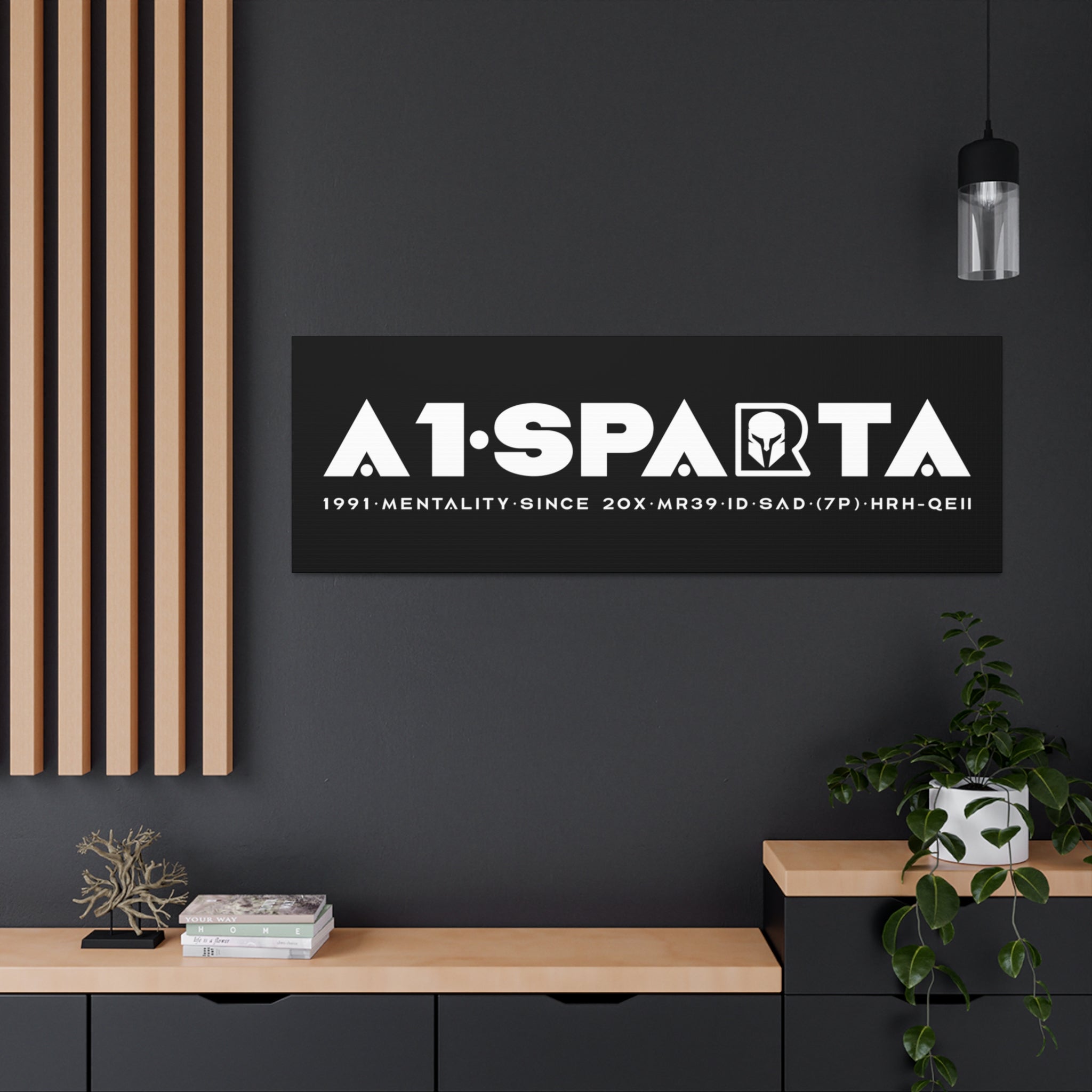 Canvas Gallery Wraps (A1•SPARTA RANGE)