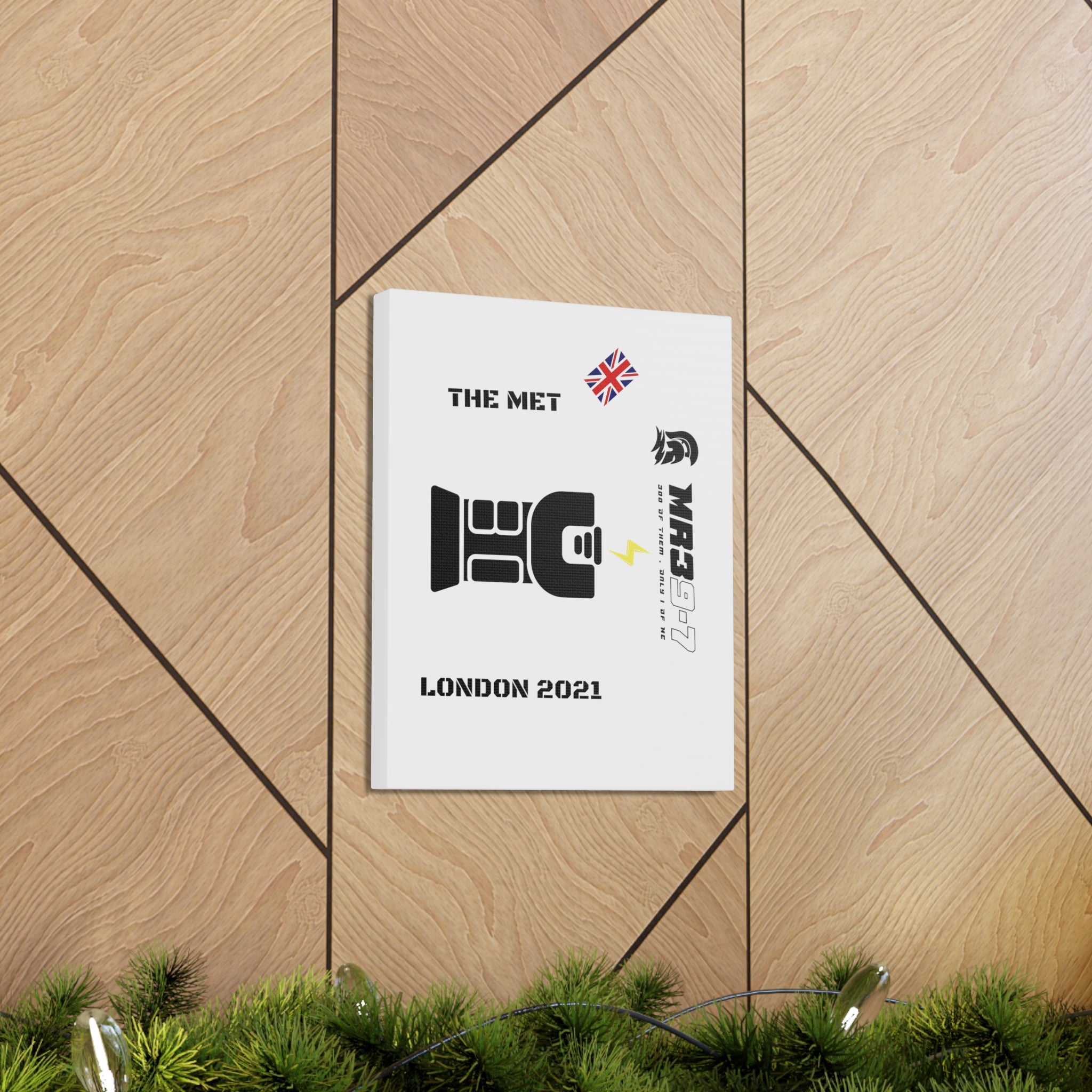 Copy of Canvas Gallery Wraps MR 39 Tasered by The MET 2021