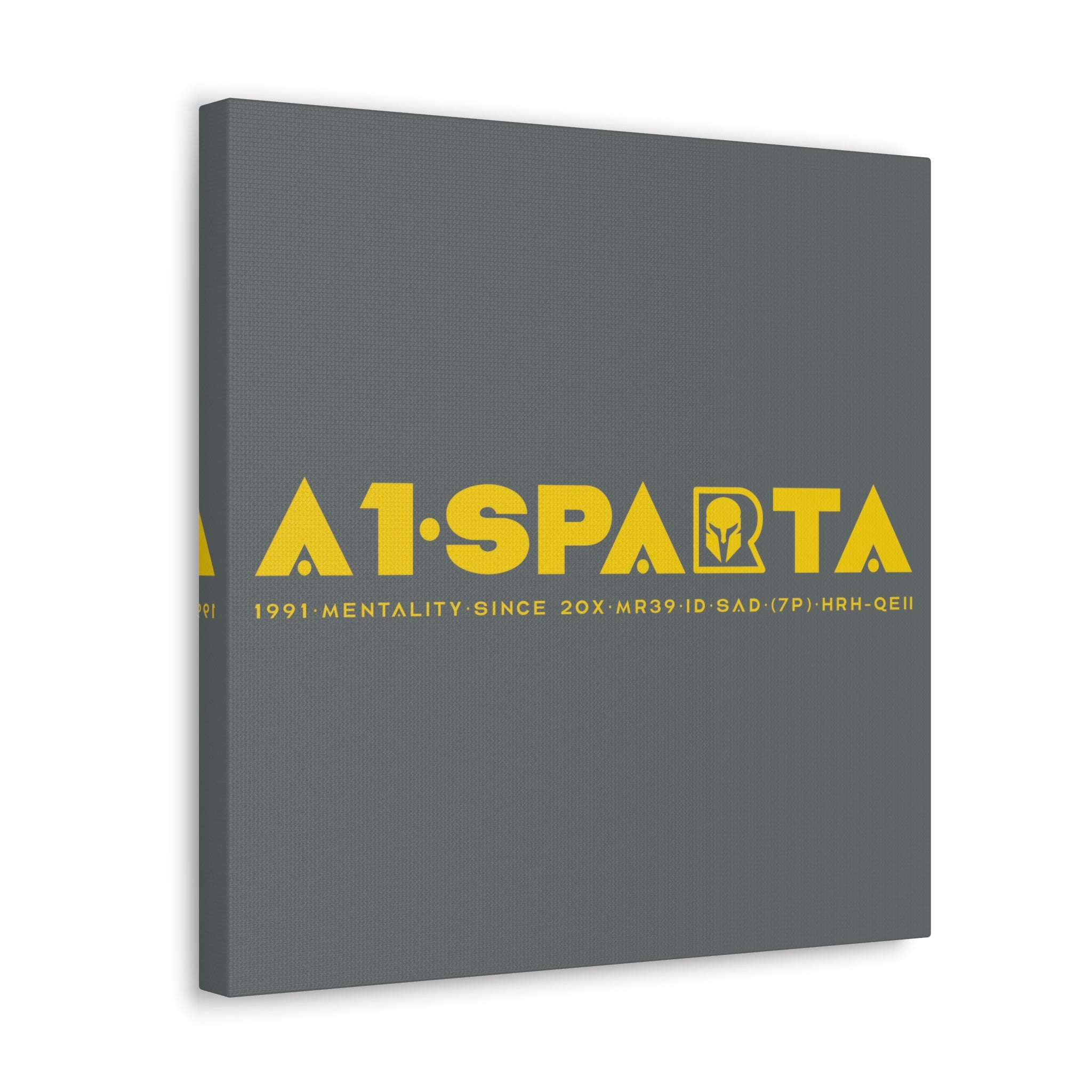 Canvas Gallery Wraps (A1•SPARTA RANGE)