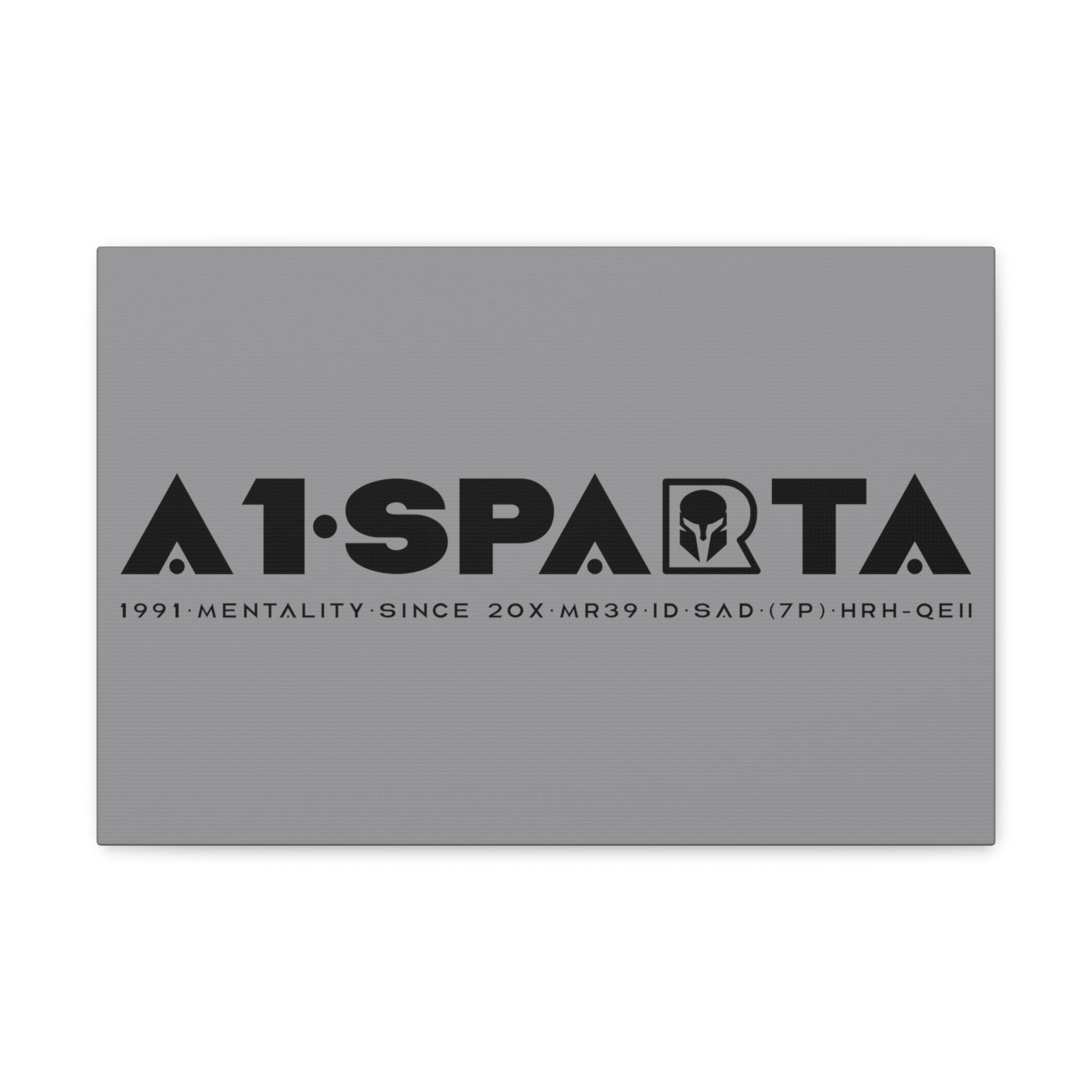 Canvas Gallery Wraps (A1•SPARTA RANGE)