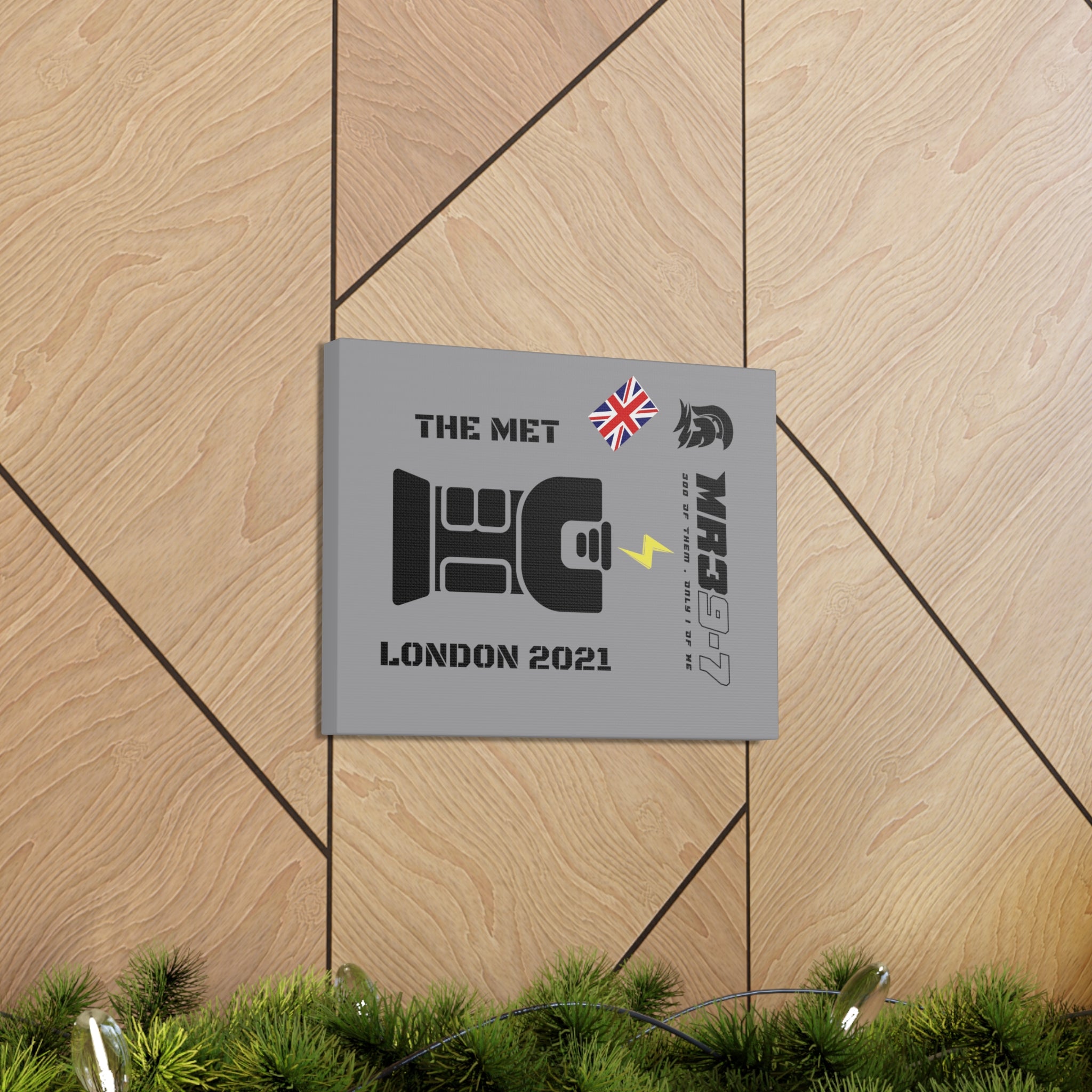 Copy of Canvas Gallery Wraps MR 39 Tasered by The MET 2021