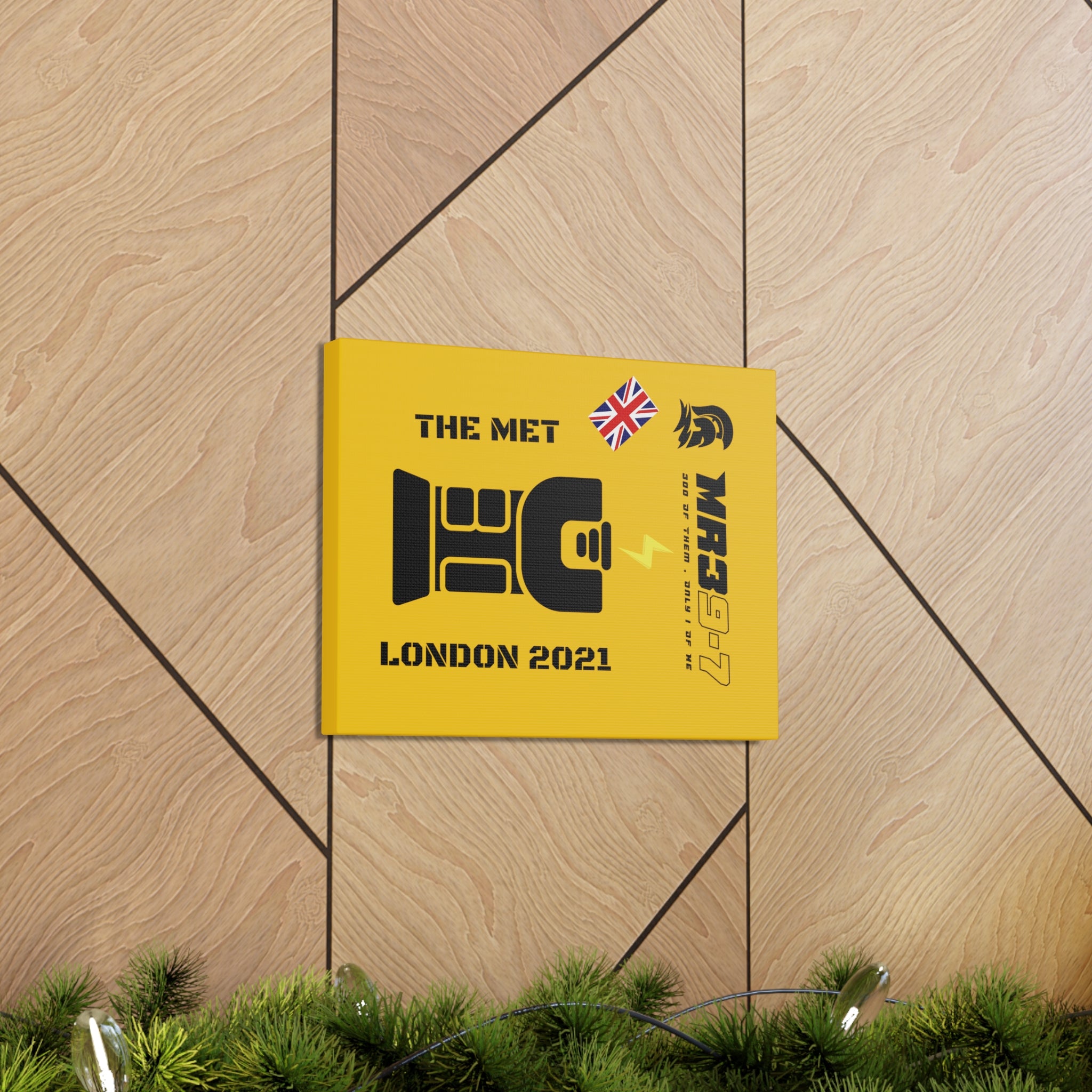 Canvas Gallery Wraps MR 39 Tasered by The MET 2021