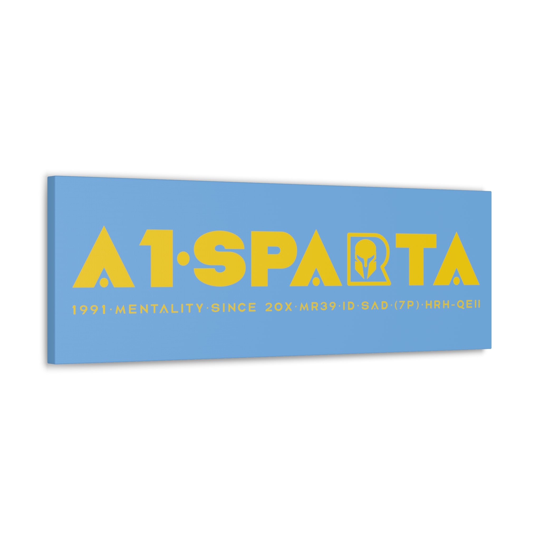 Canvas Gallery Wraps (A1•SPARTA RANGE)