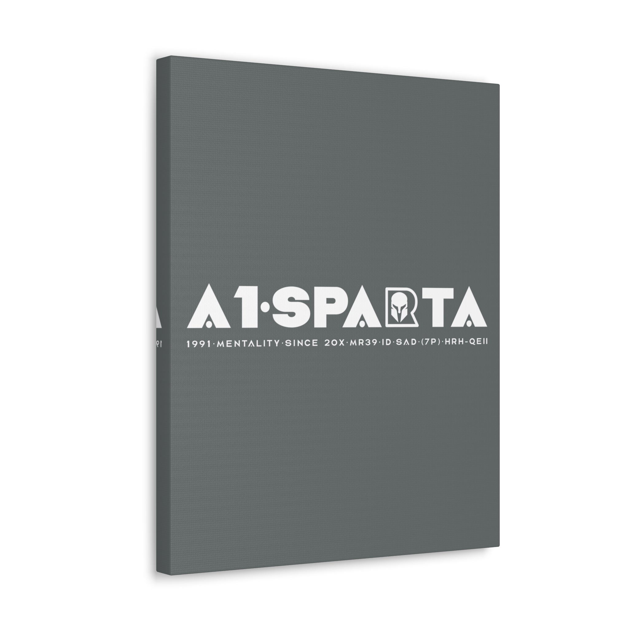 Canvas Gallery Wraps (A1•SPARTA RANGE)