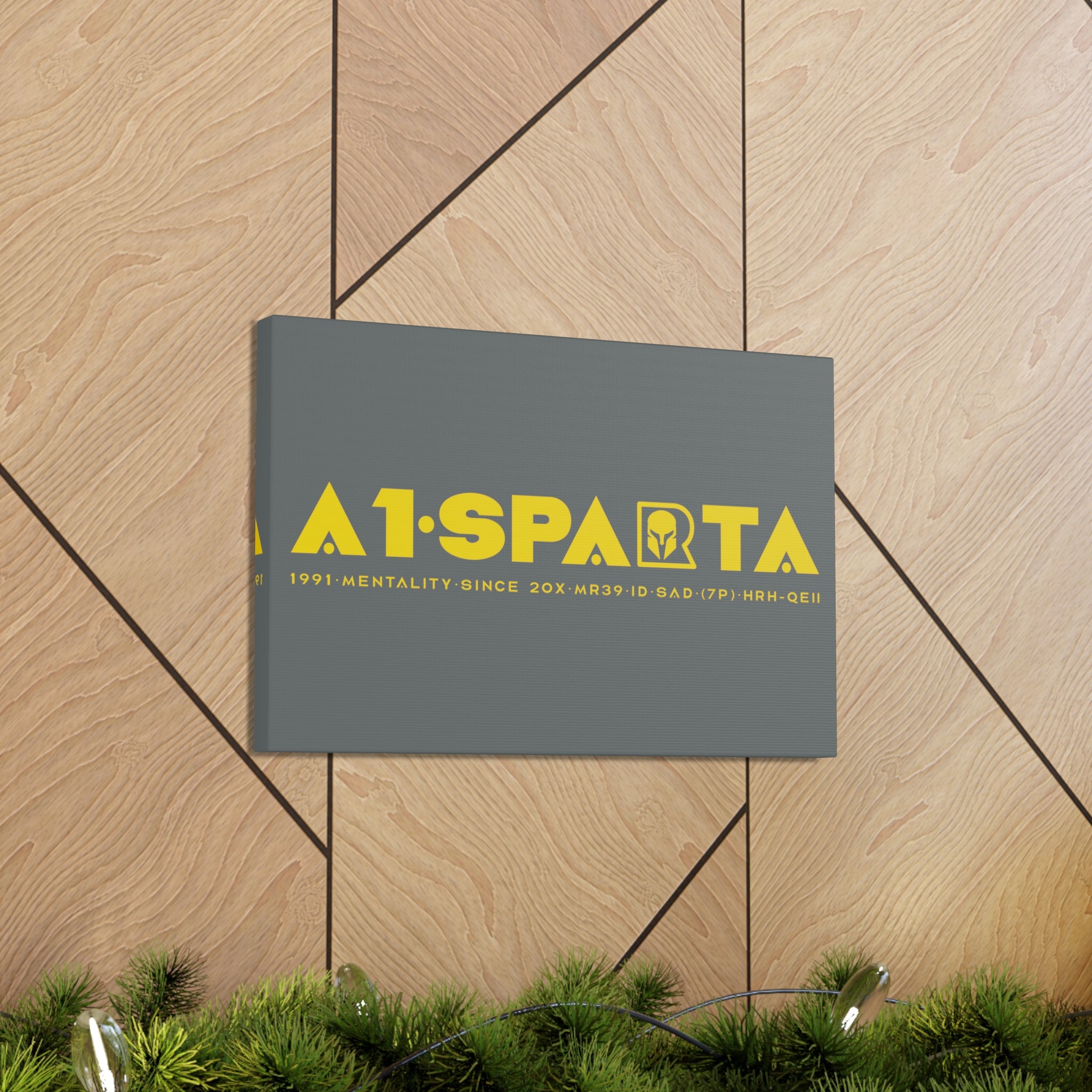 Canvas Gallery Wraps (A1•SPARTA RANGE)