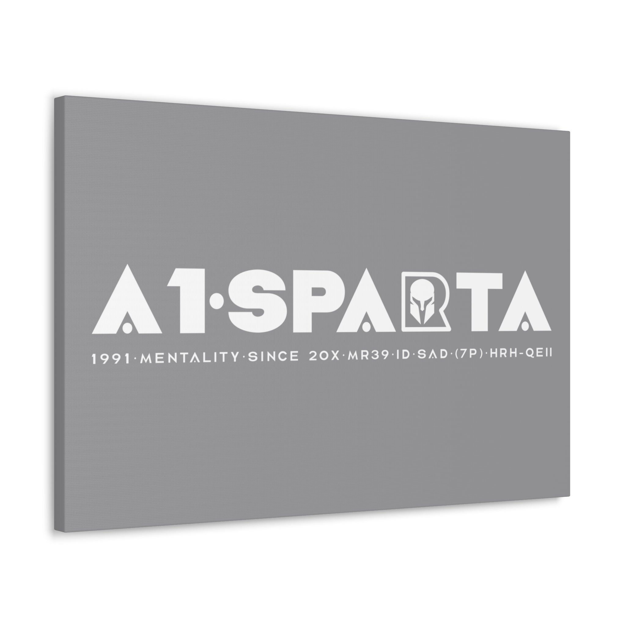 Canvas Gallery Wraps (A1•SPARTA RANGE)