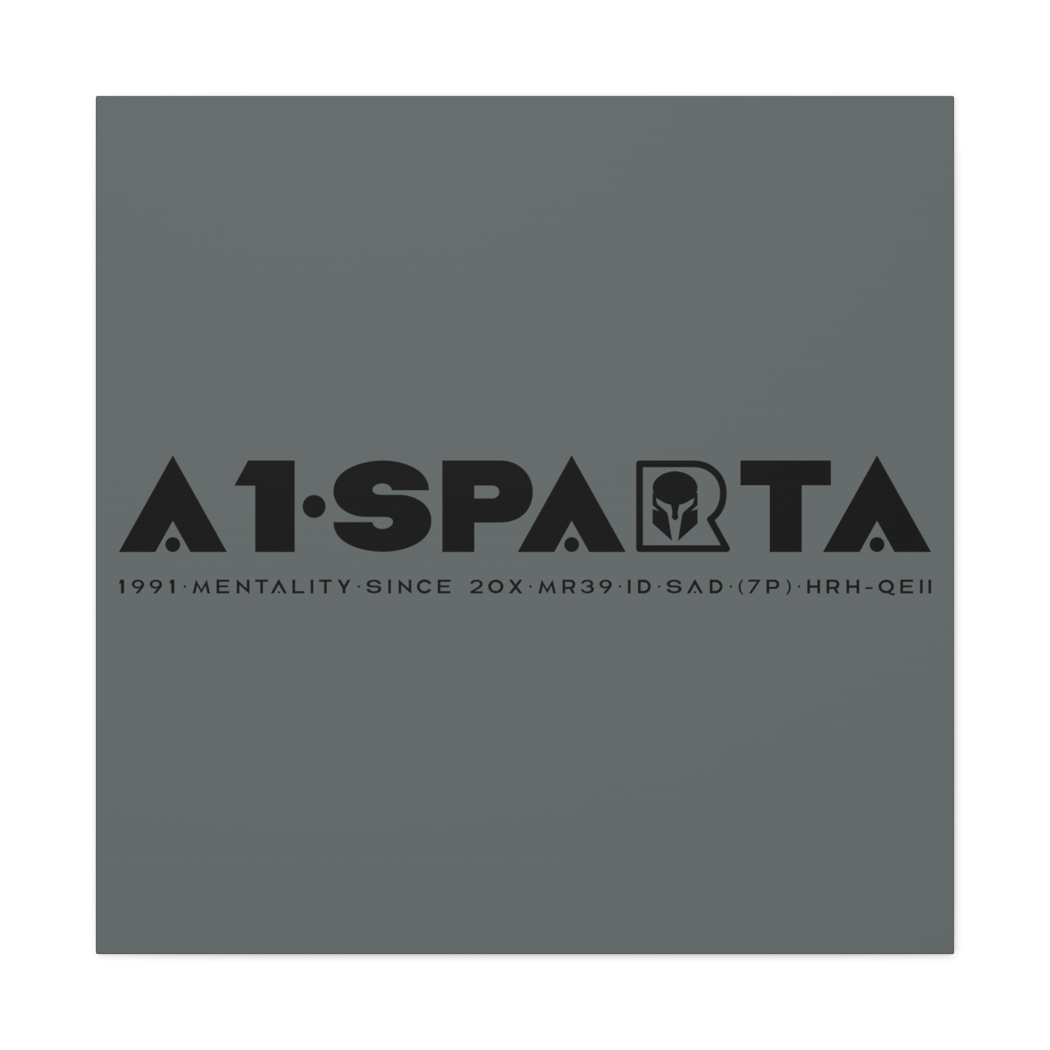 Canvas Gallery Wraps (A1•SPARTA RANGE)