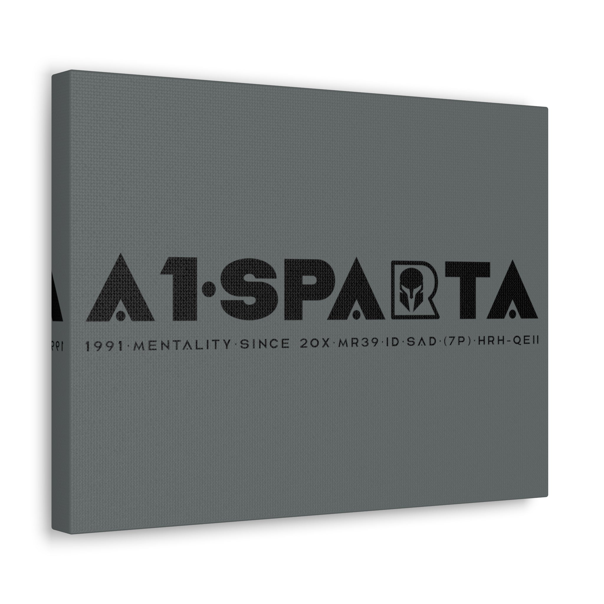 Canvas Gallery Wraps (A1•SPARTA RANGE)