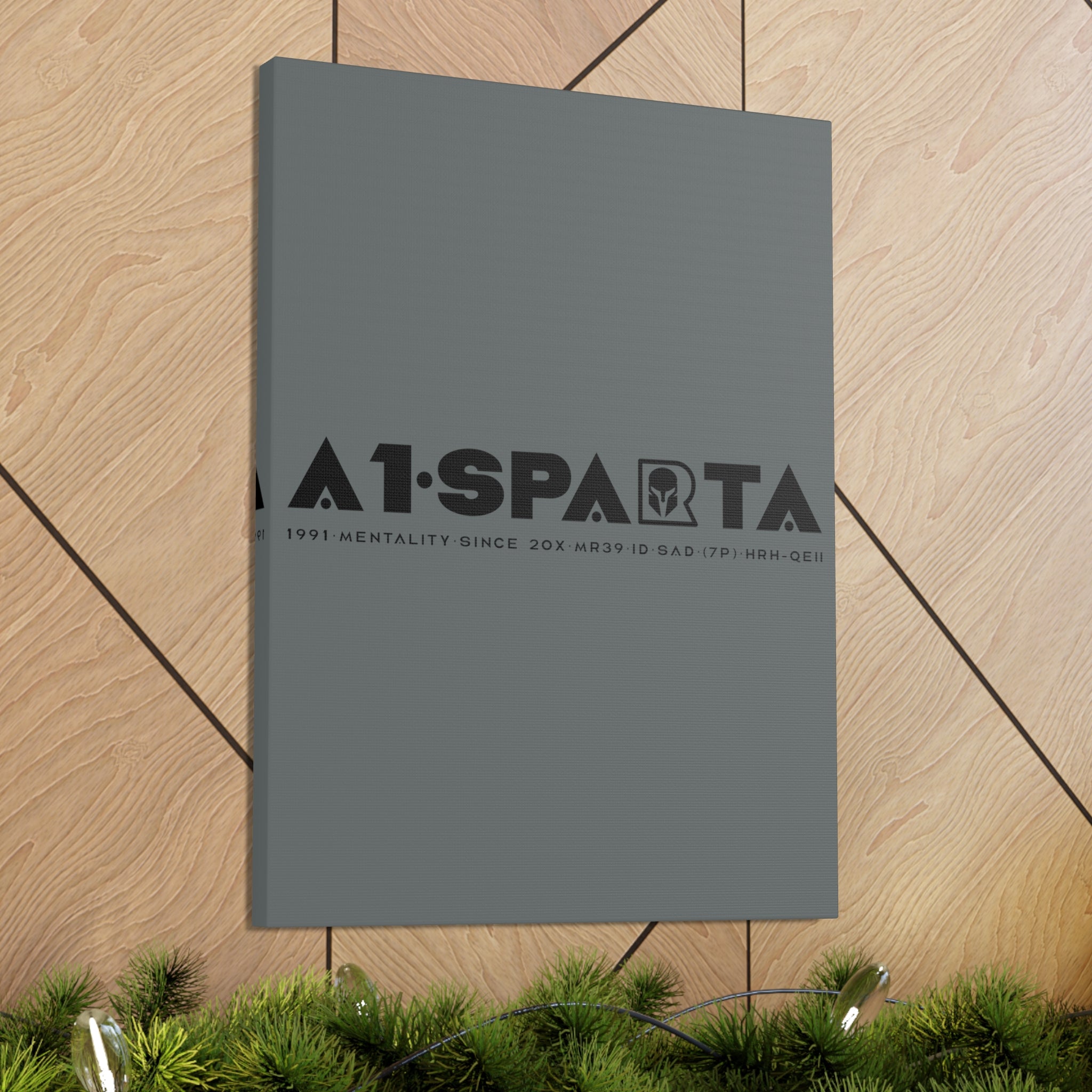 Canvas Gallery Wraps (A1•SPARTA RANGE)