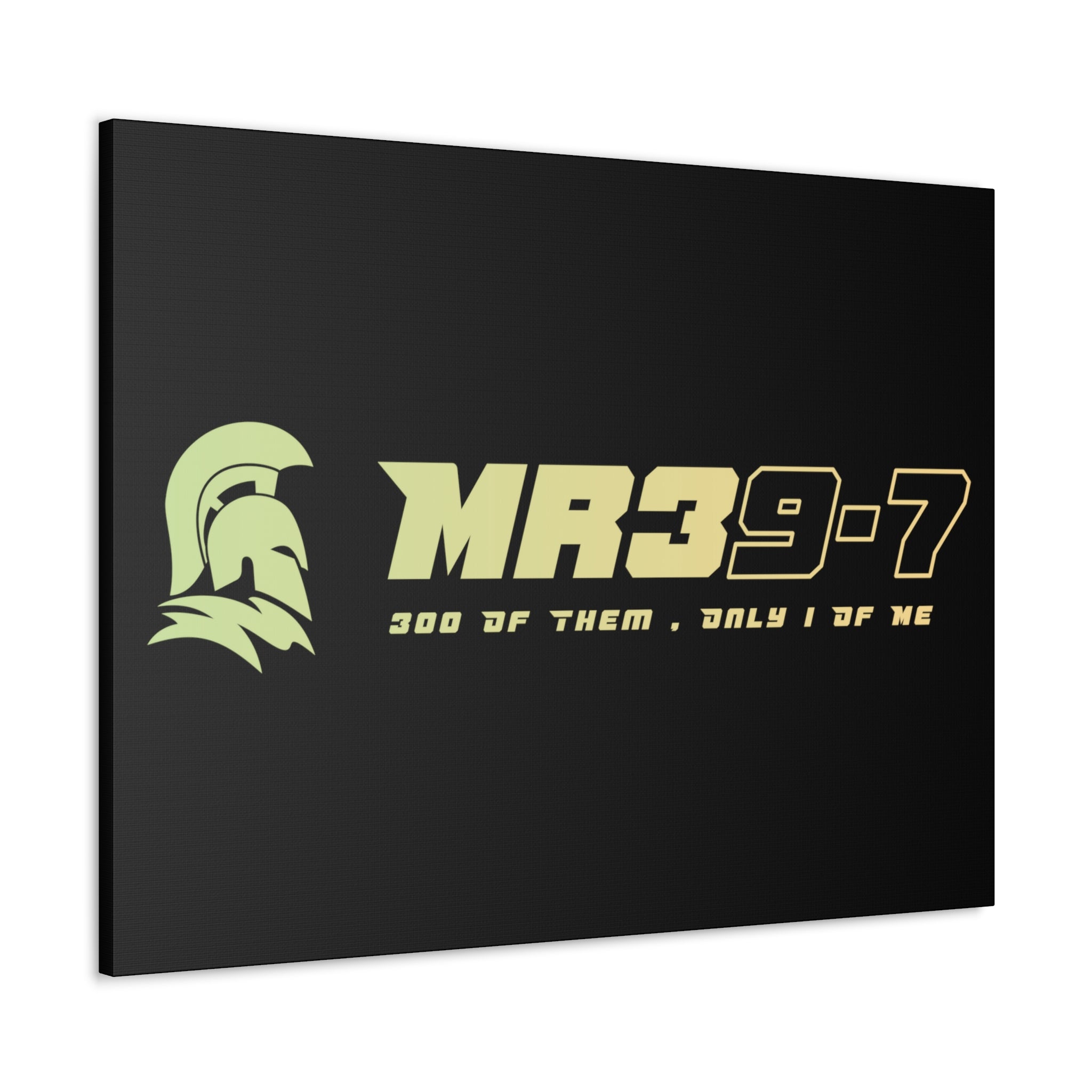 Canvas Gallery Wraps (A1•SPARTA RANGE)