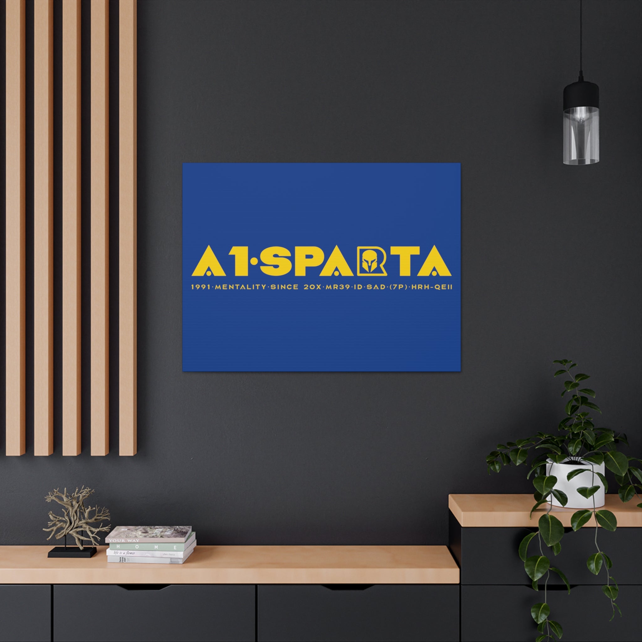 Canvas Gallery Wraps (A1•SPARTA RANGE)