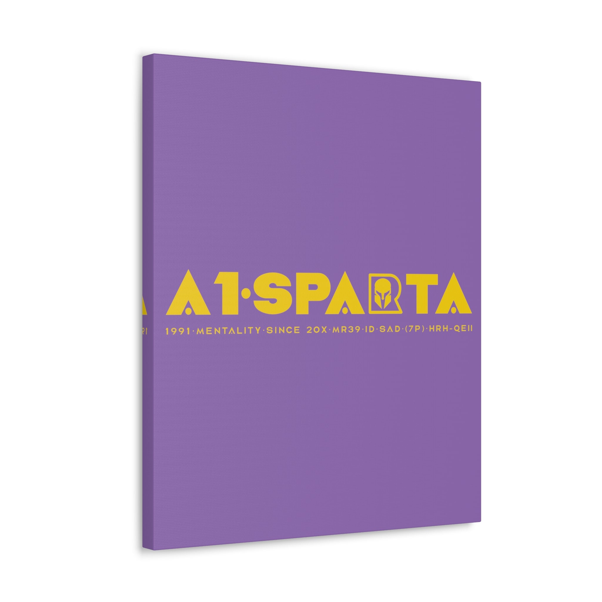 Canvas Gallery Wraps (A1•SPARTA RANGE)