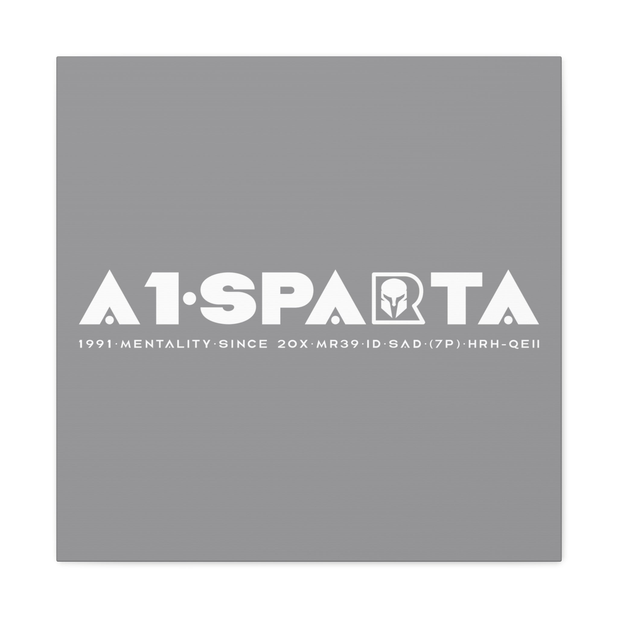 Canvas Gallery Wraps (A1•SPARTA RANGE)