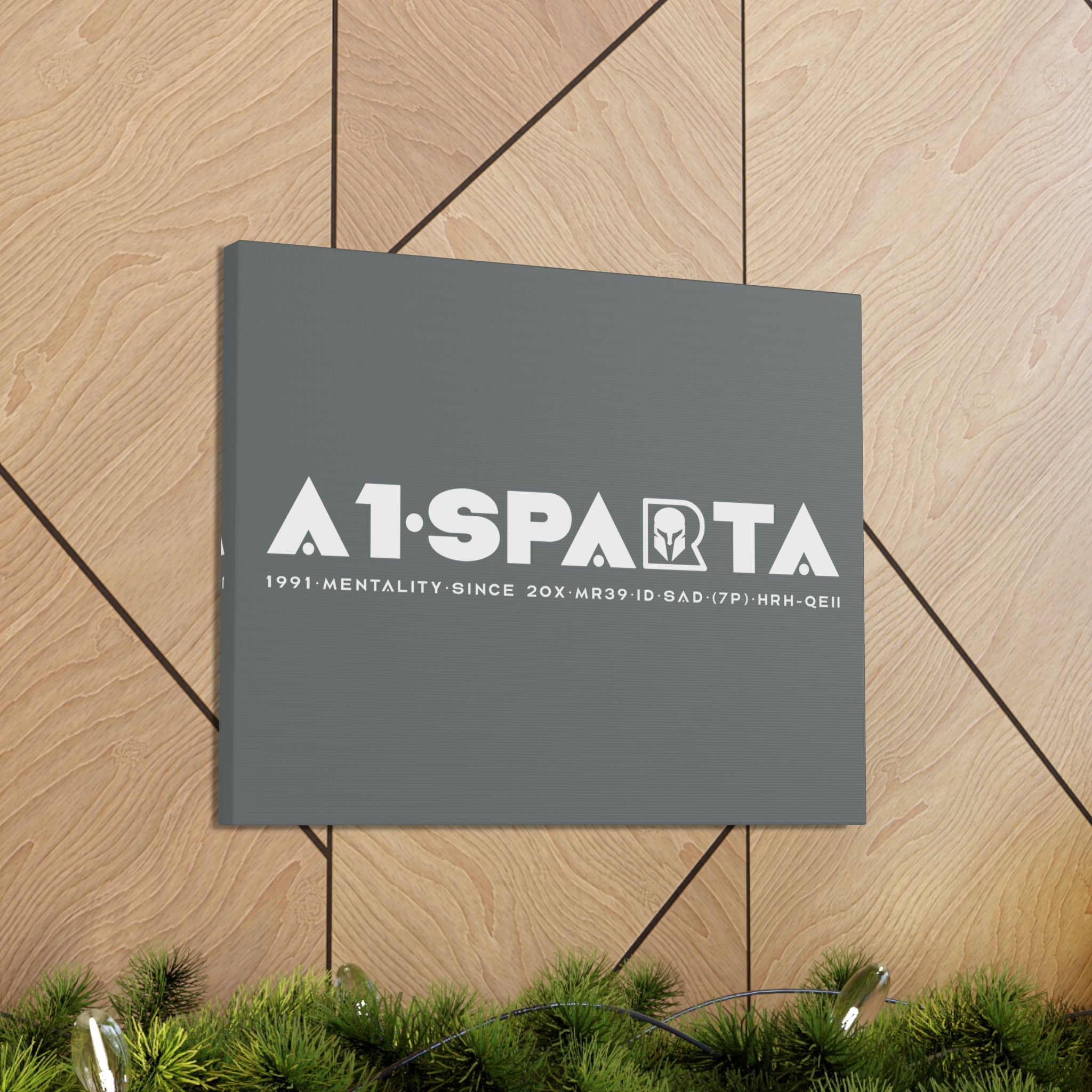Canvas Gallery Wraps (A1•SPARTA RANGE)