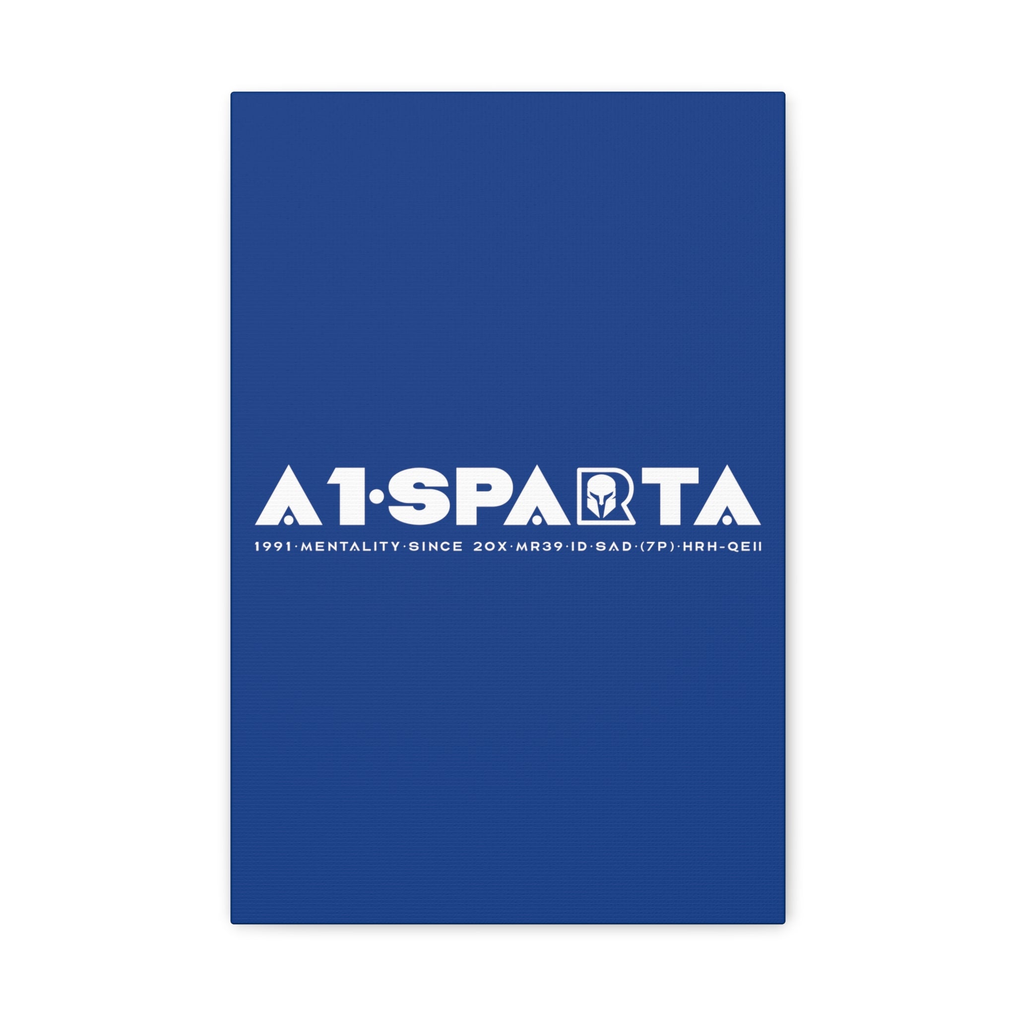 Canvas Gallery Wraps (A1•SPARTA RANGE)