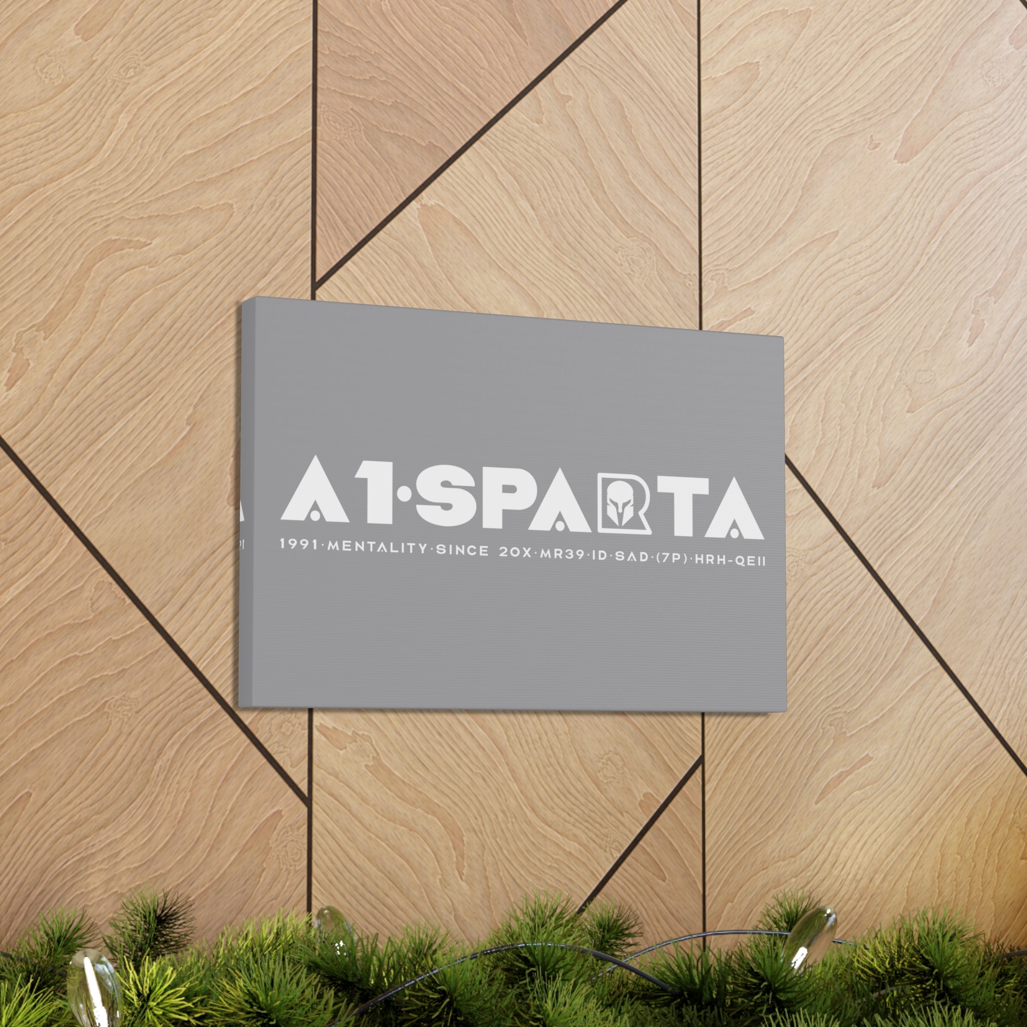 Canvas Gallery Wraps (A1•SPARTA RANGE)