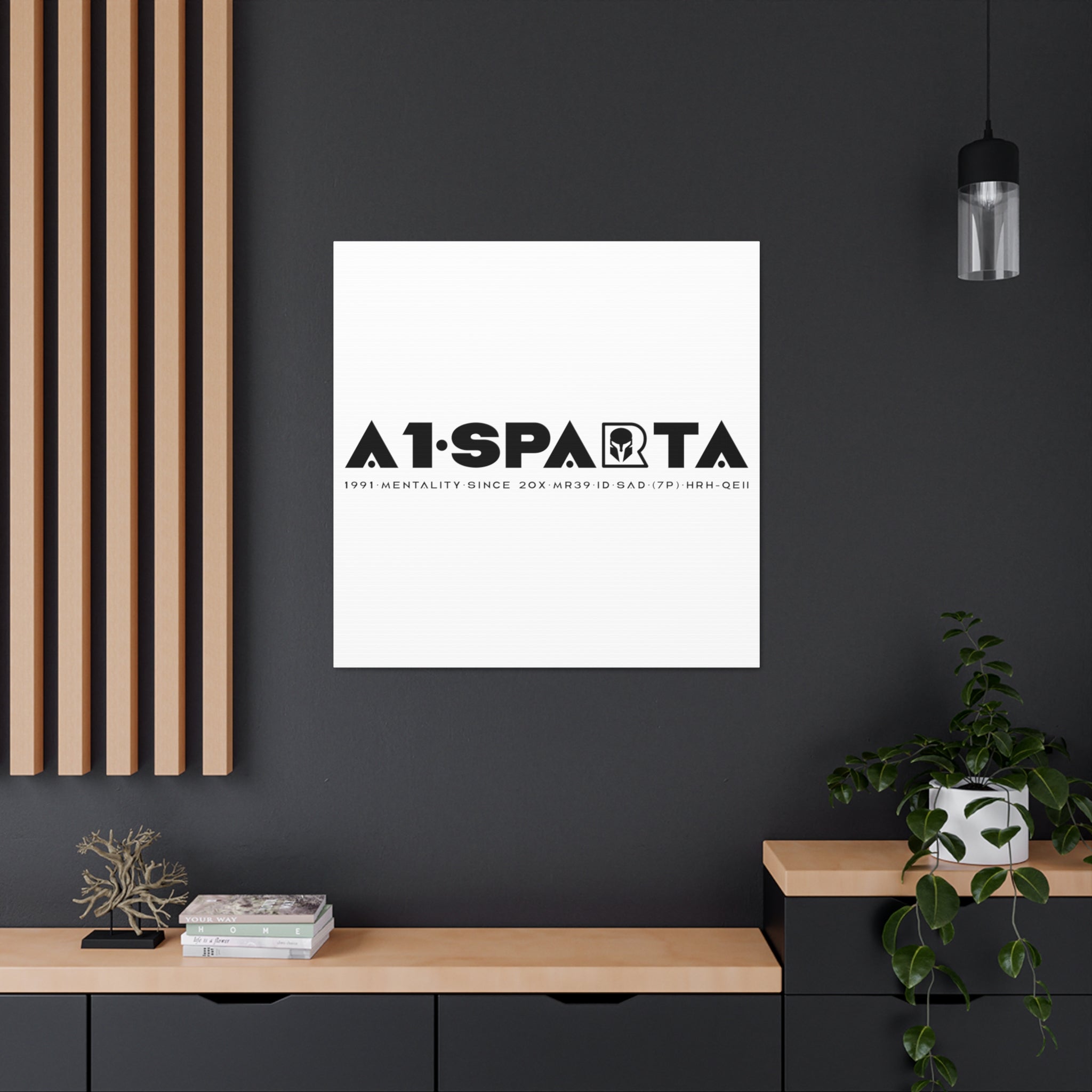 Canvas Gallery Wraps (A1•SPARTA RANGE)